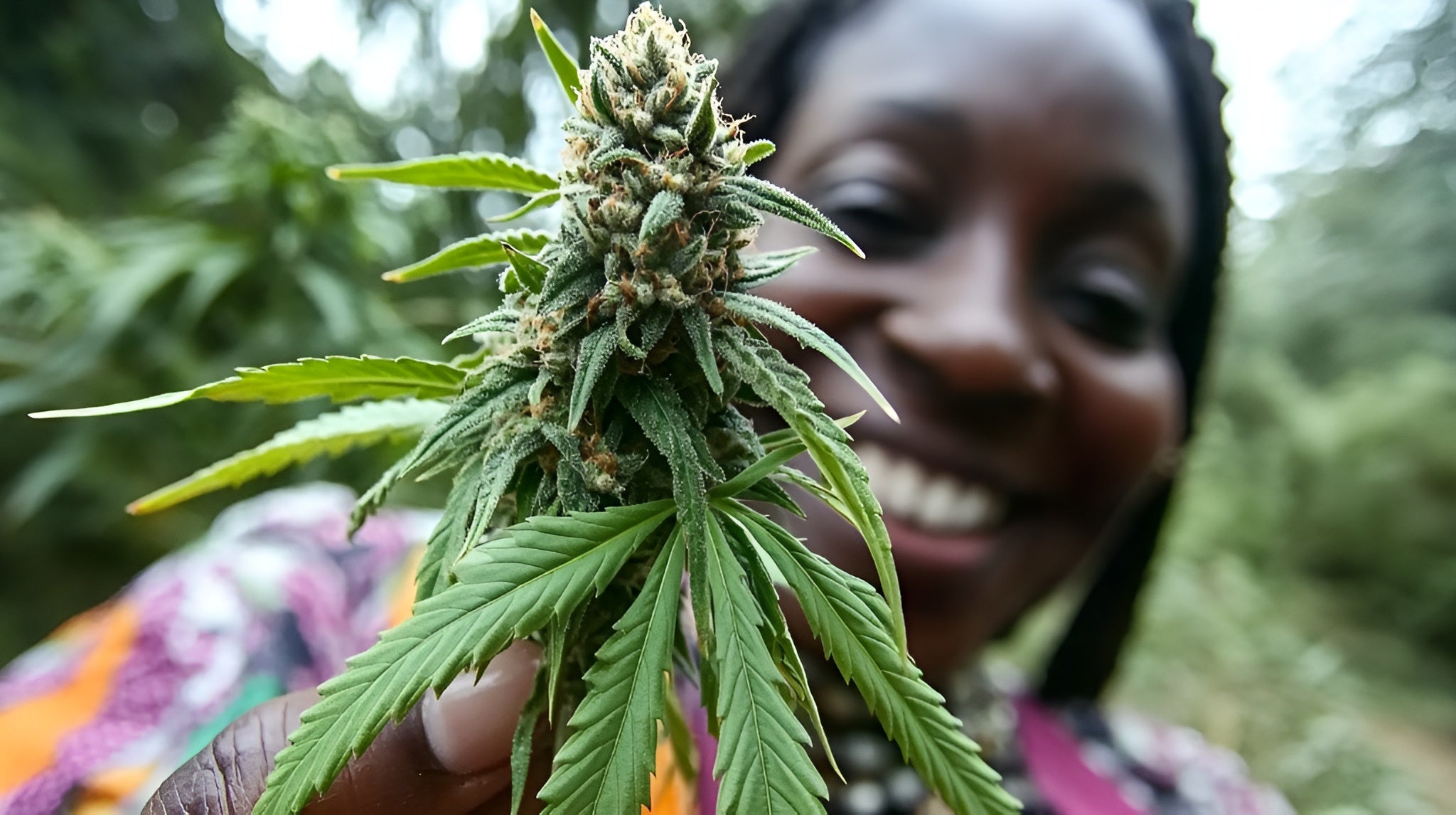 Femme noir, cannabis - Megadose