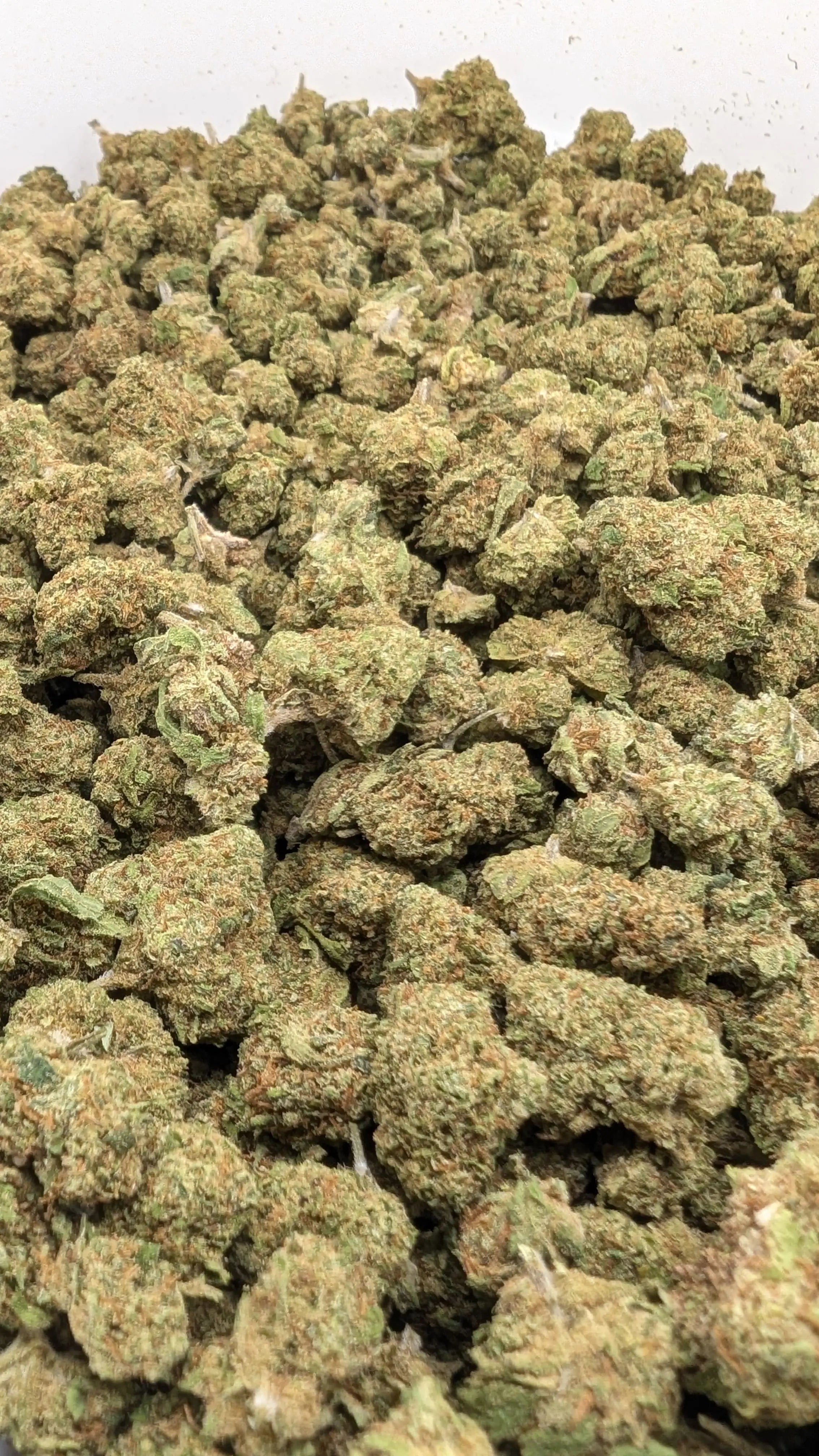 ALIEN OG SB 👽 Megadose