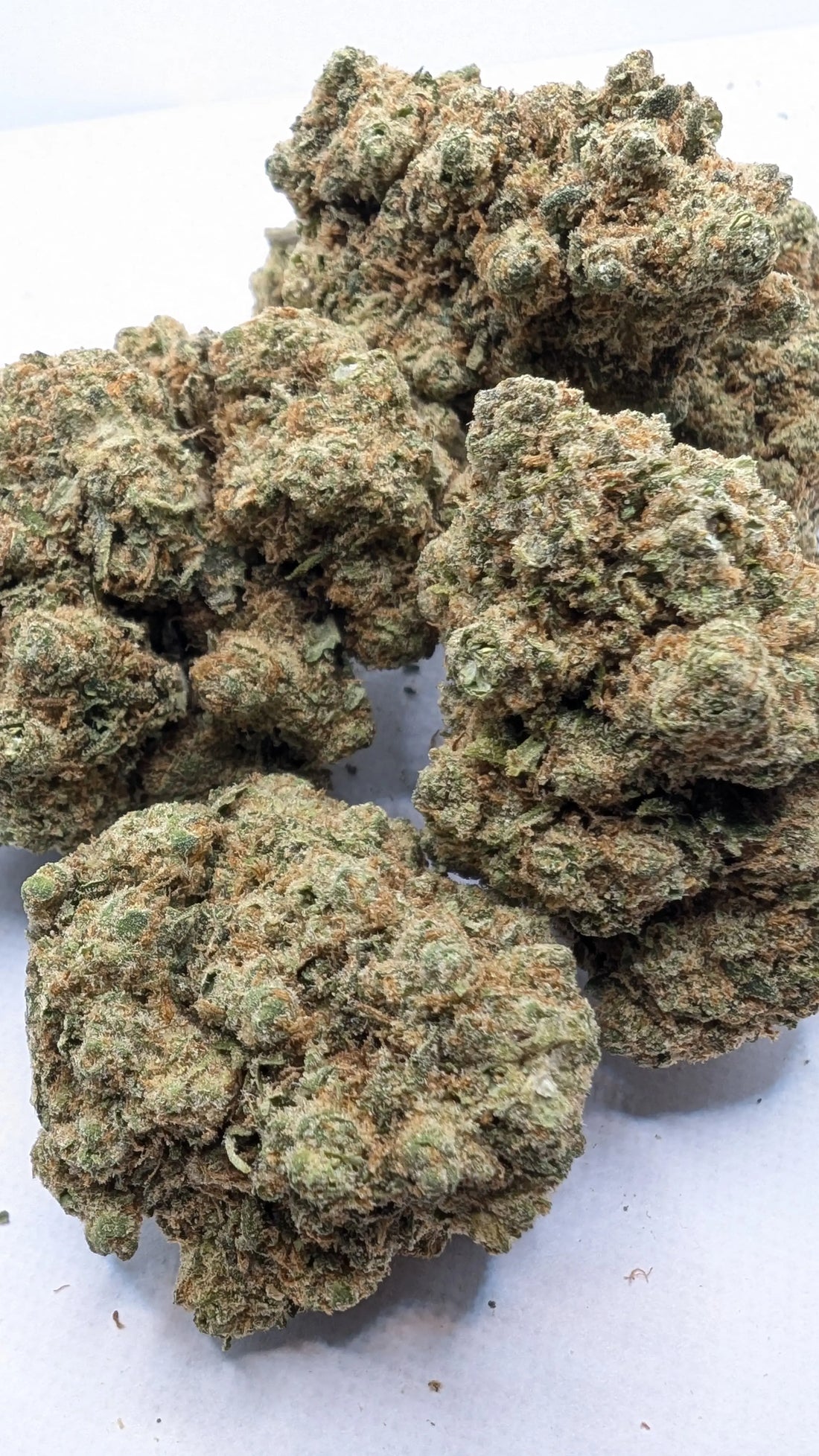 AMNESIA Super Strainâ Megadose
