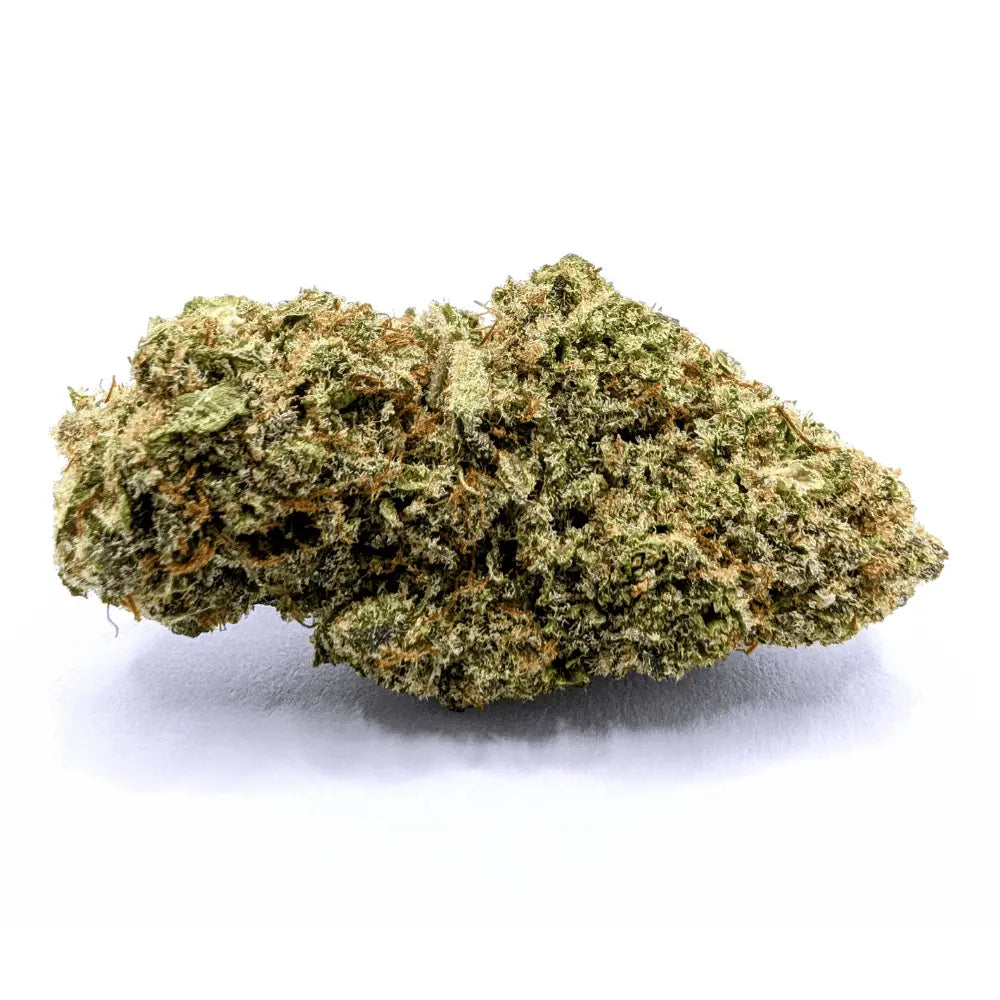 BUBBLE GUM 🍬 MEGADOSE