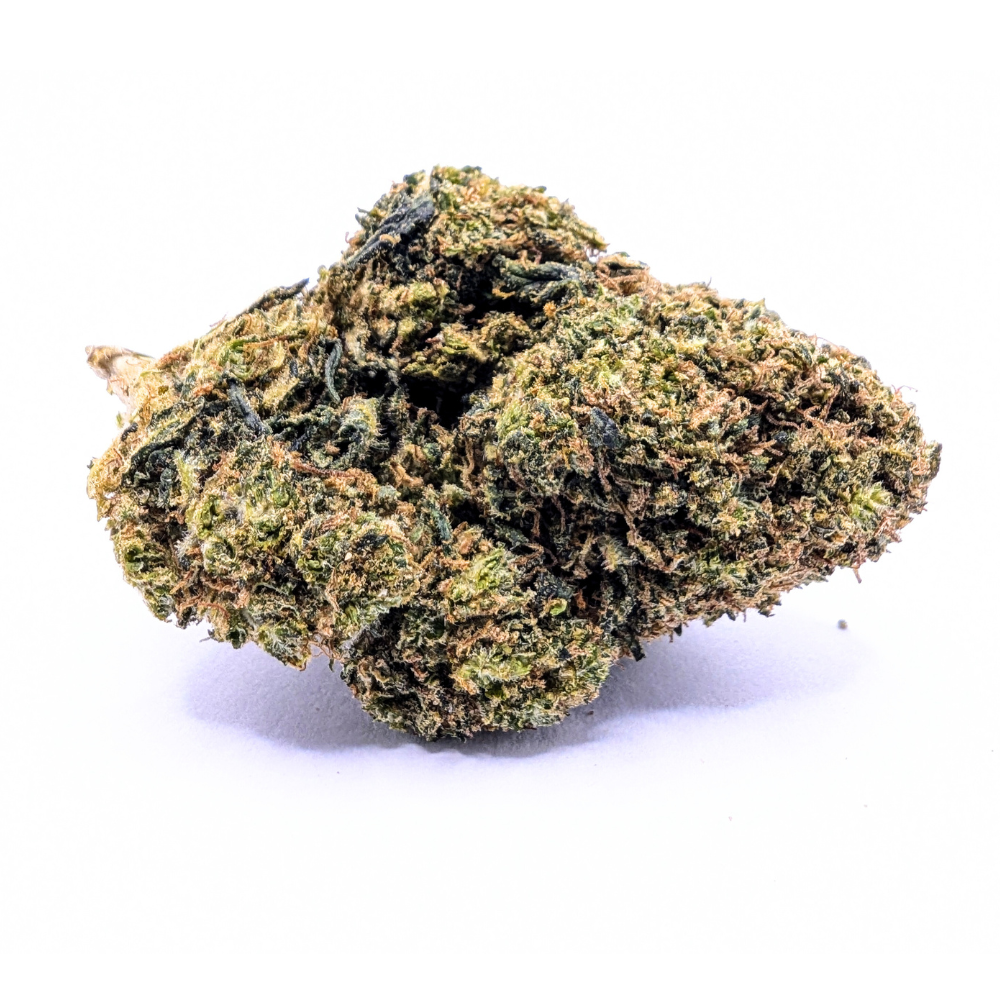 BLUEBERRY 🫐
