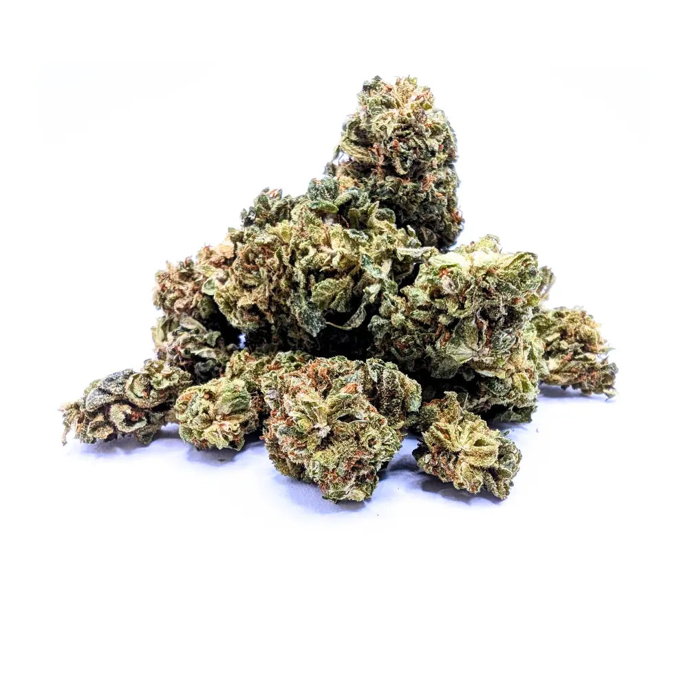 CHEESE 🧀 Megadose