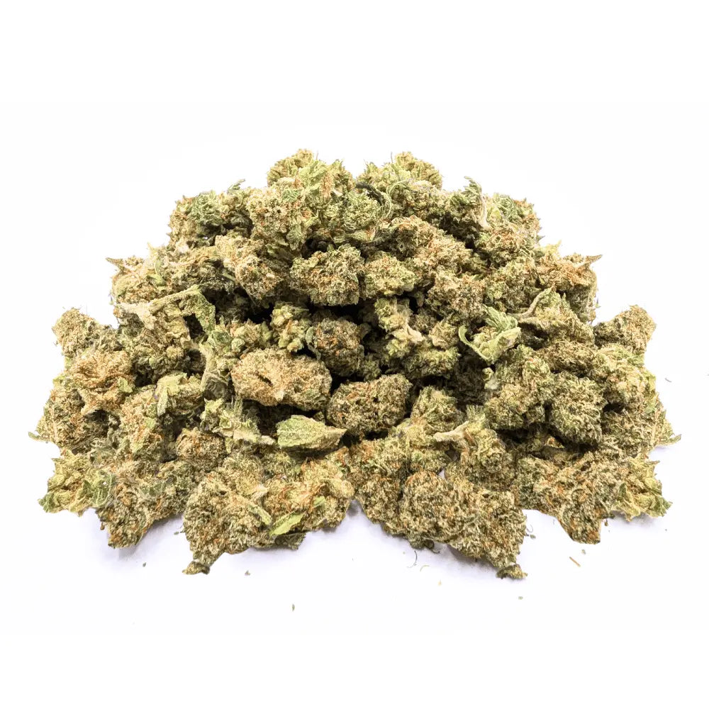 CRITICAL SB ❤️🔥 Megadose