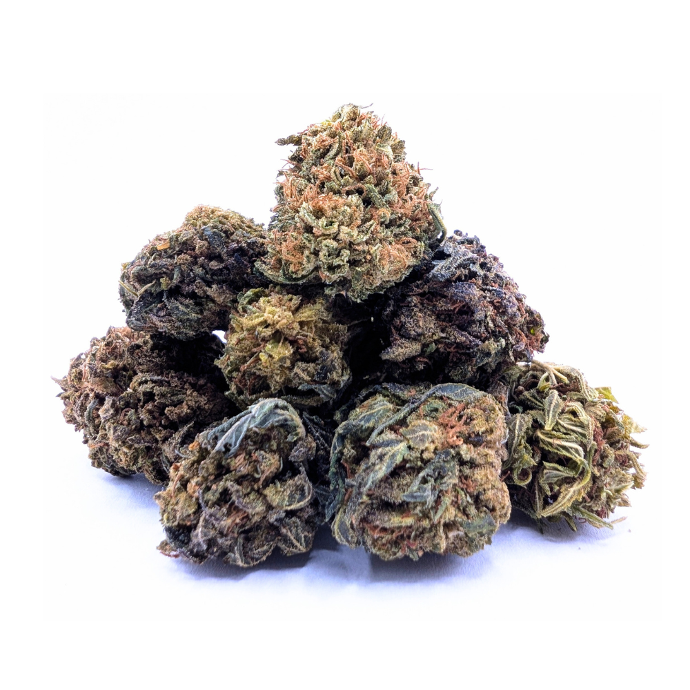 CRITICAL BERRY SB NL-1 🫦