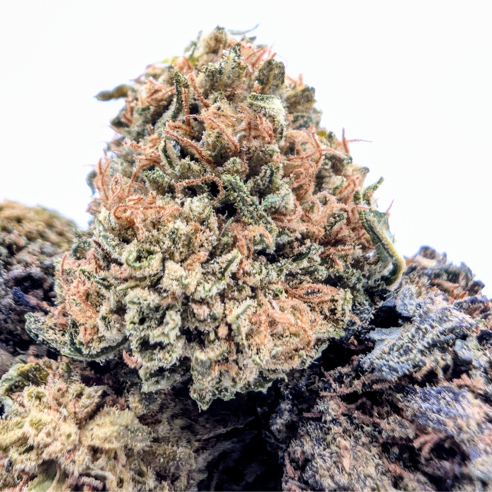 CRITICAL BERRY SB NL-1 🫦