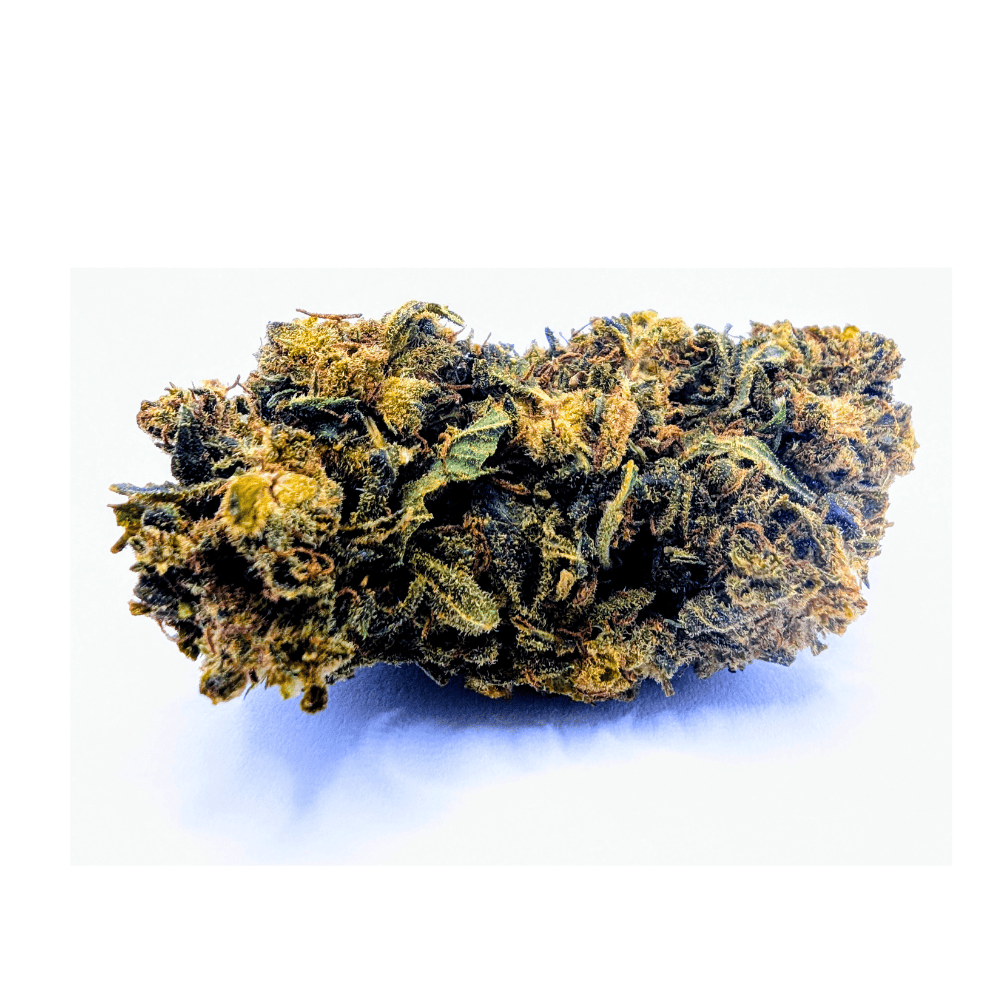 TANGERINE DREAM 💫