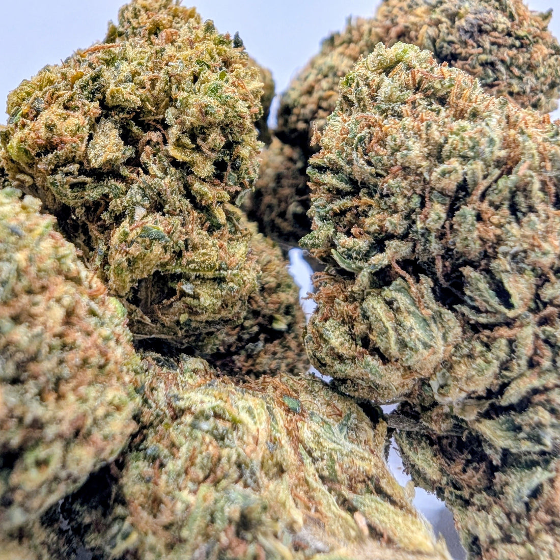 Fleur CBD LEMON CHERRY NL-1 🍋 - packshot | Megadose