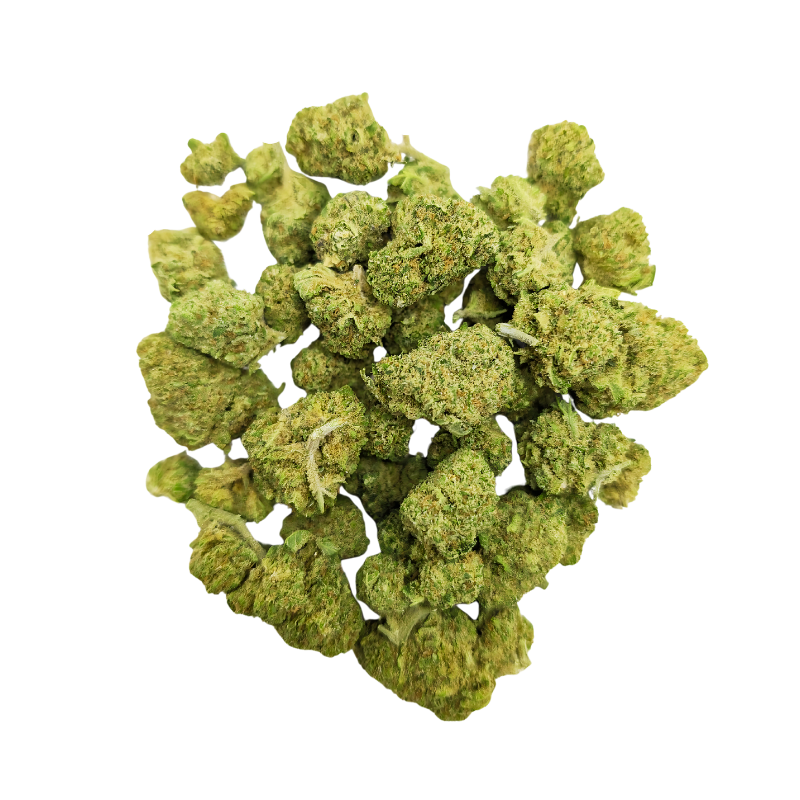 10G SMALL BUDS - OFFERTS