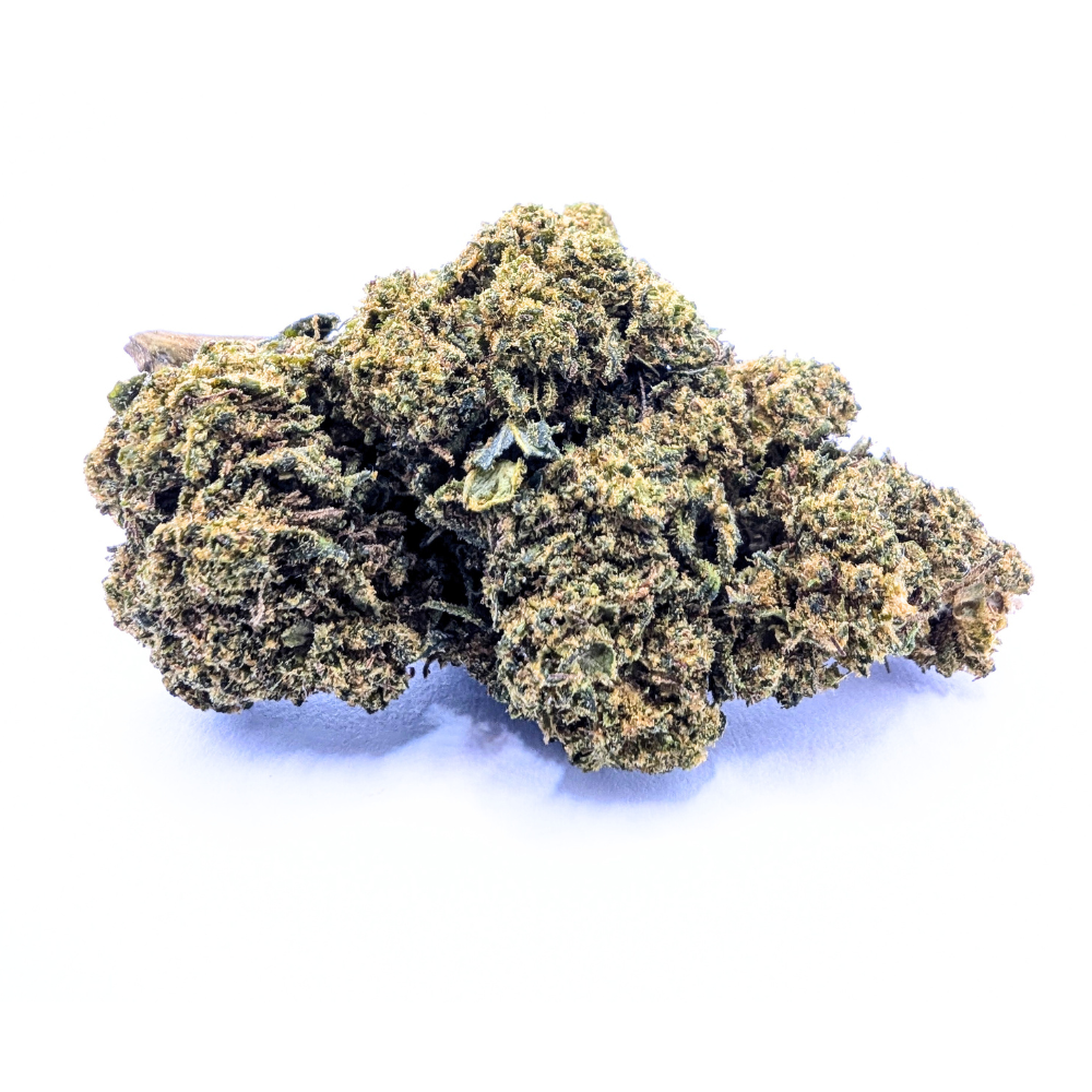 GORILLA GLUE* 🦍