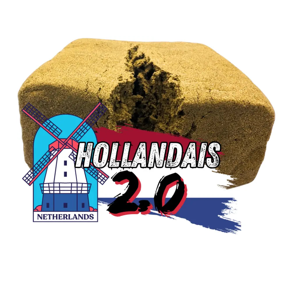 HOLLANDAIS 2.0 SUNDGOCBD.FR