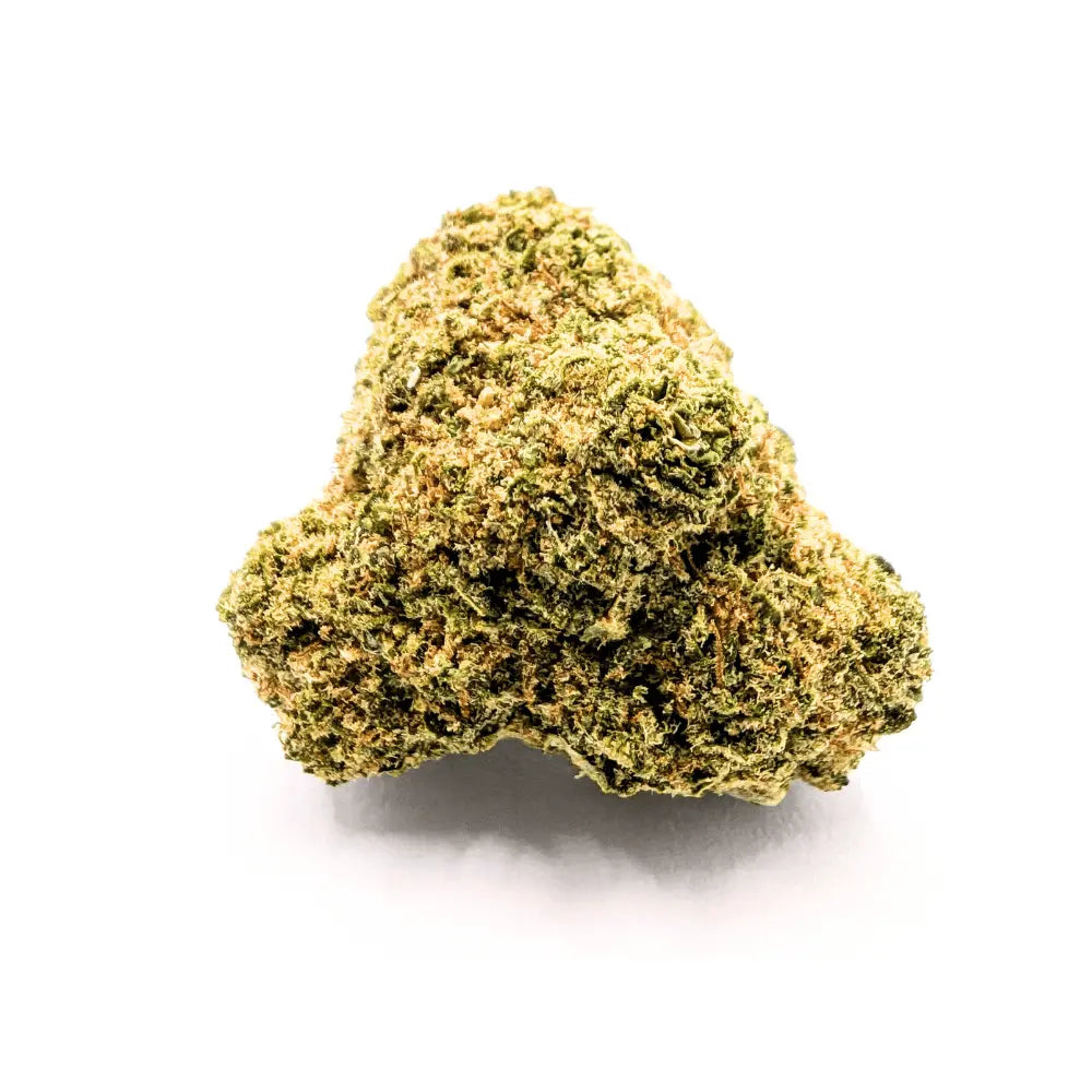 Fleur CBD Jack Herer — tête isolée sur fond blanc