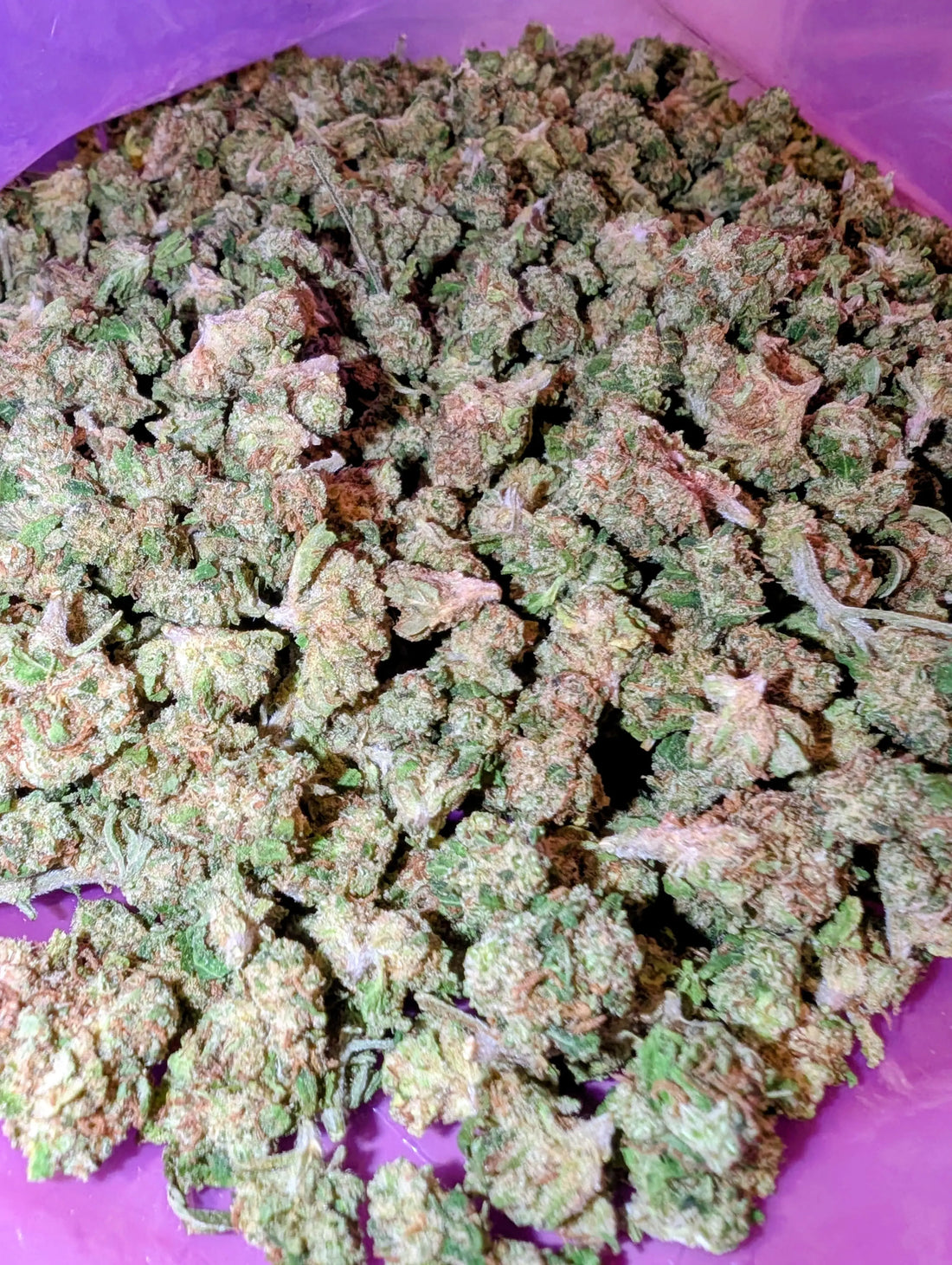 LEMON HAZE SB đ Megadose