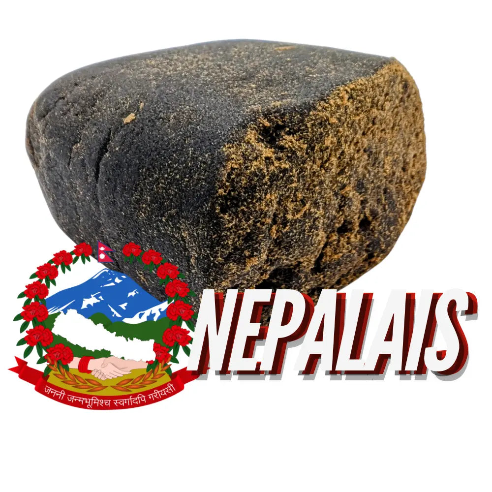 NEPALAIS SUNDGOCBD.FR