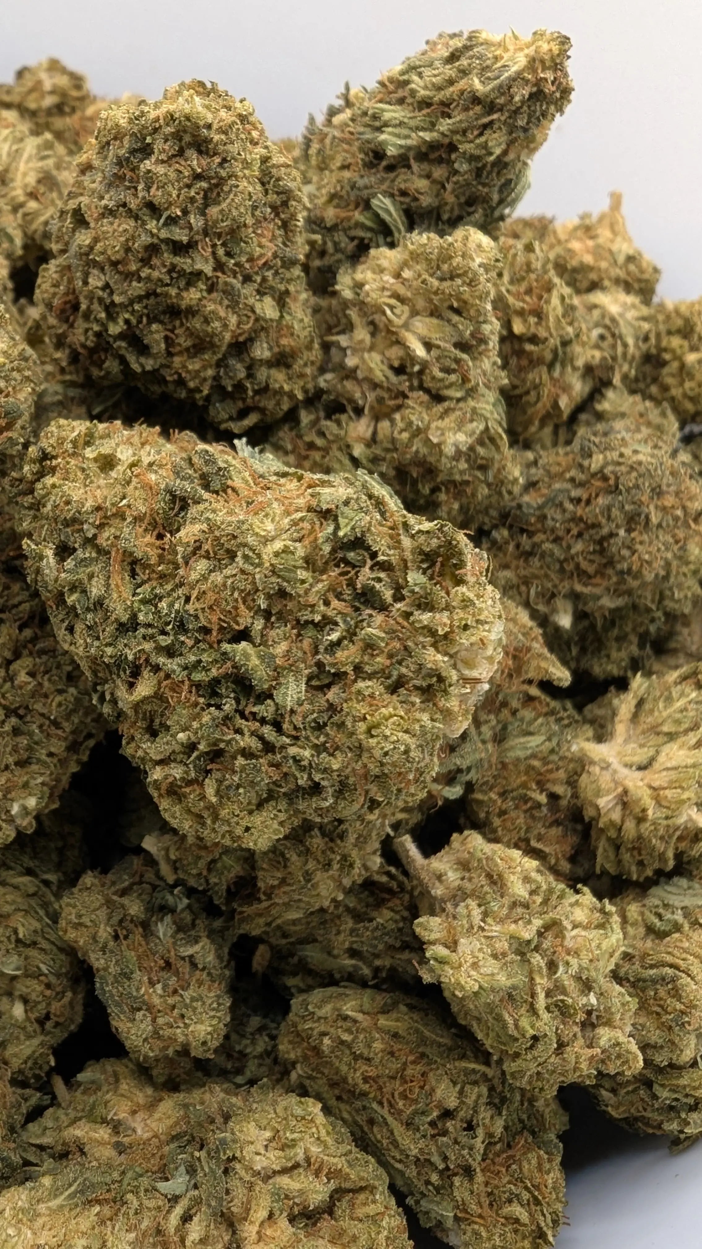 PINEAPPLE 🍍 Megadose