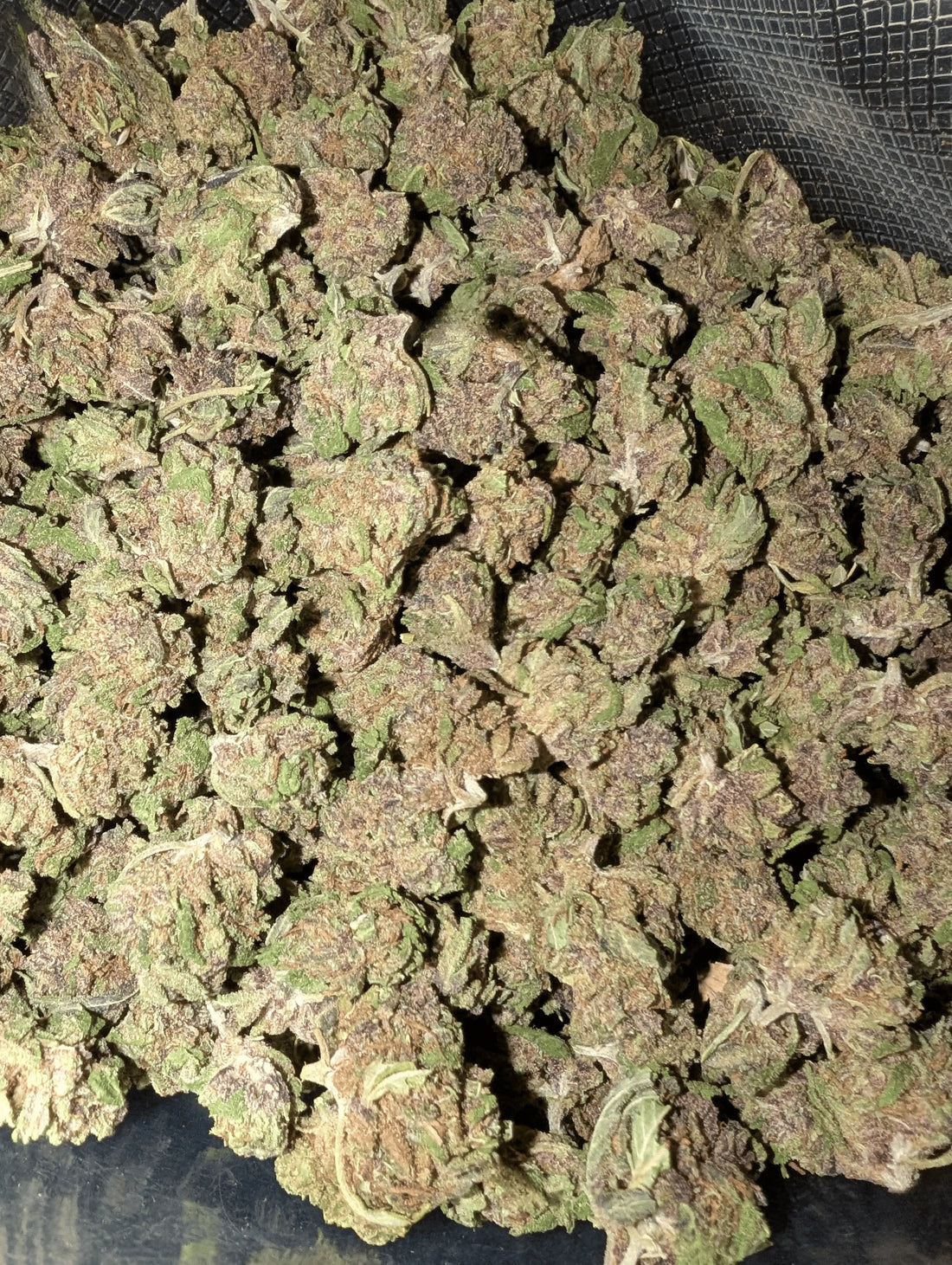 SAPPHIRE SB đ Megadose