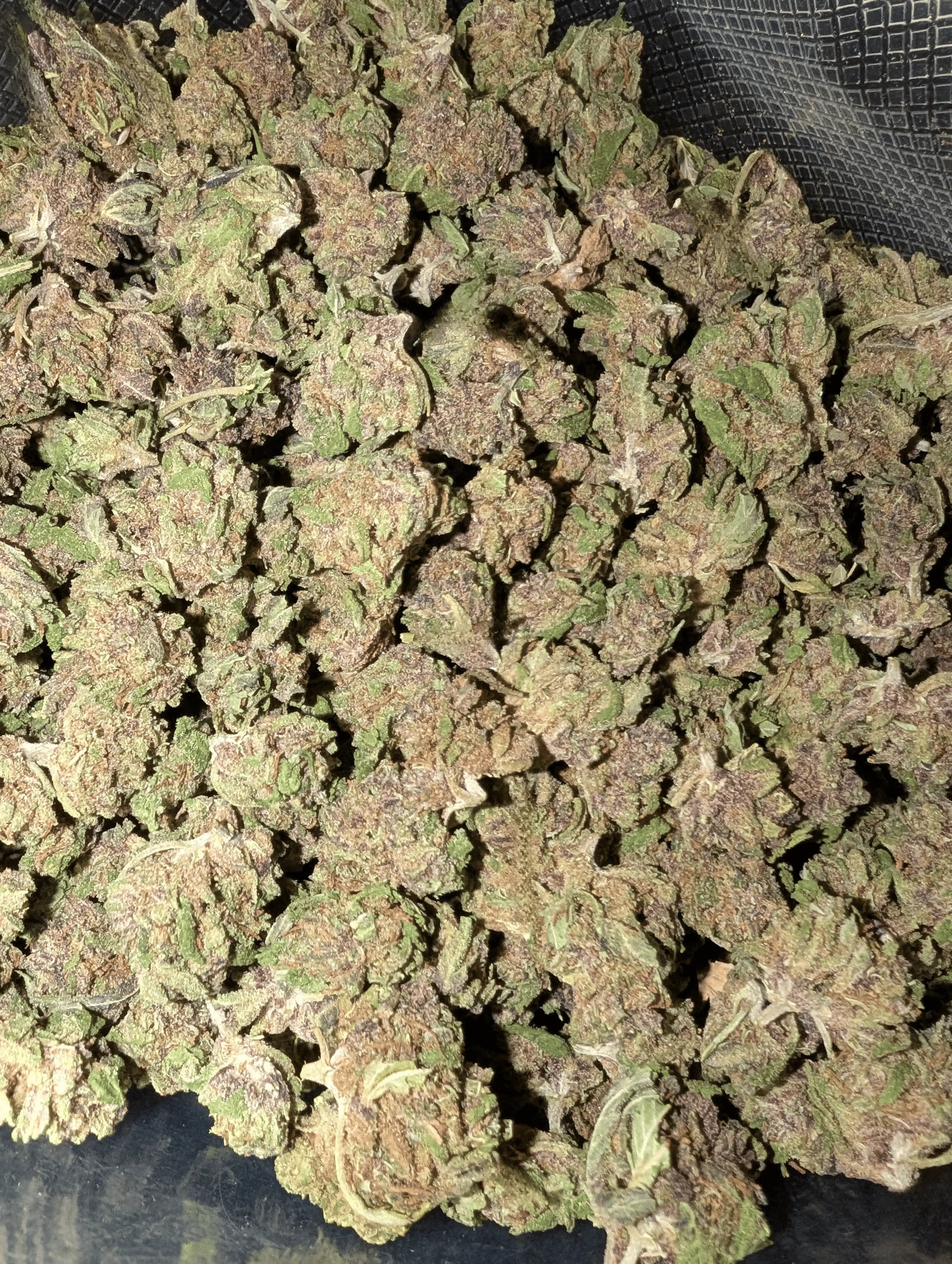 SAPPHIRE SB 💎 Megadose