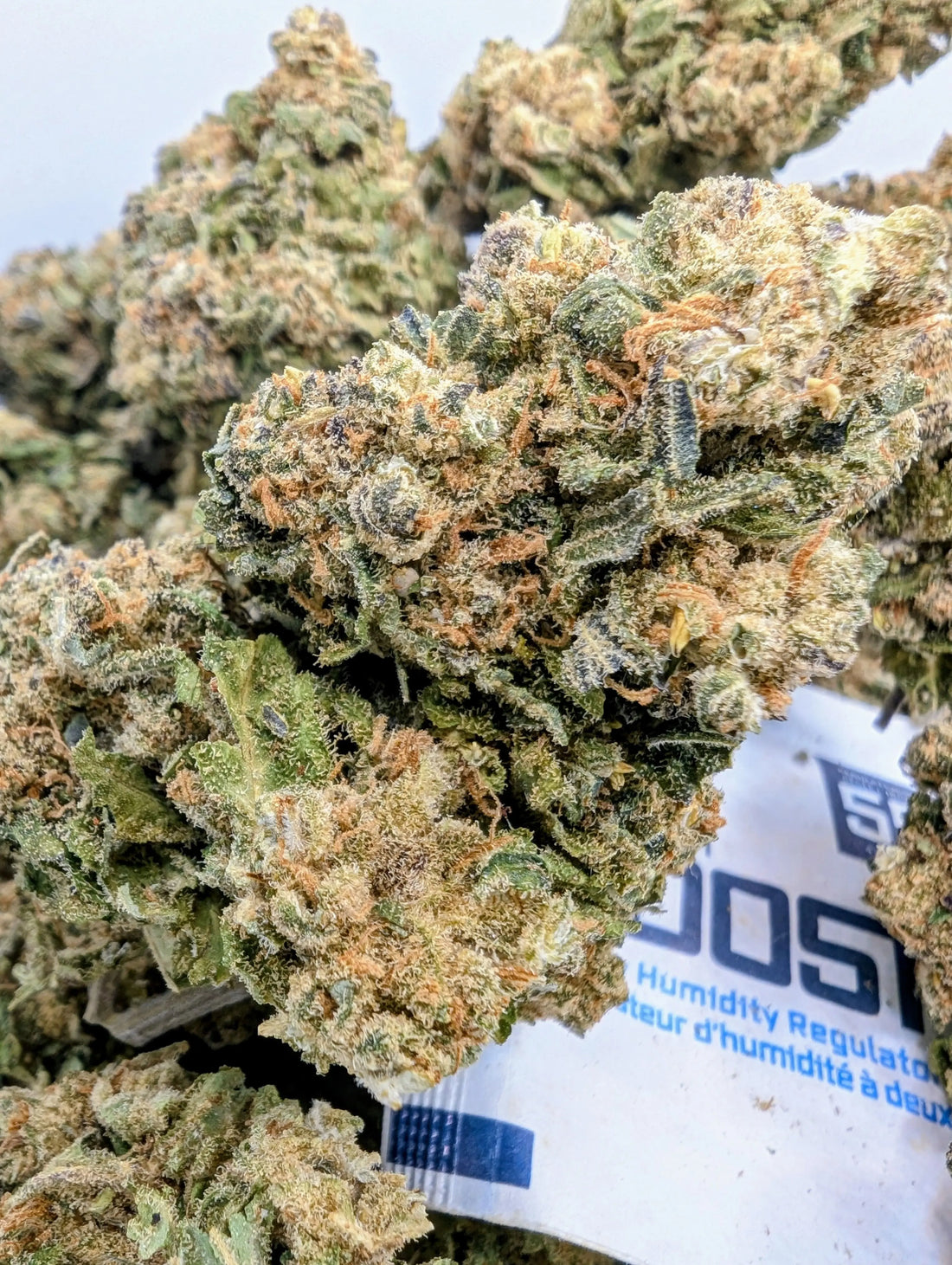 WHITE WIDOW 🕷️ Megadose