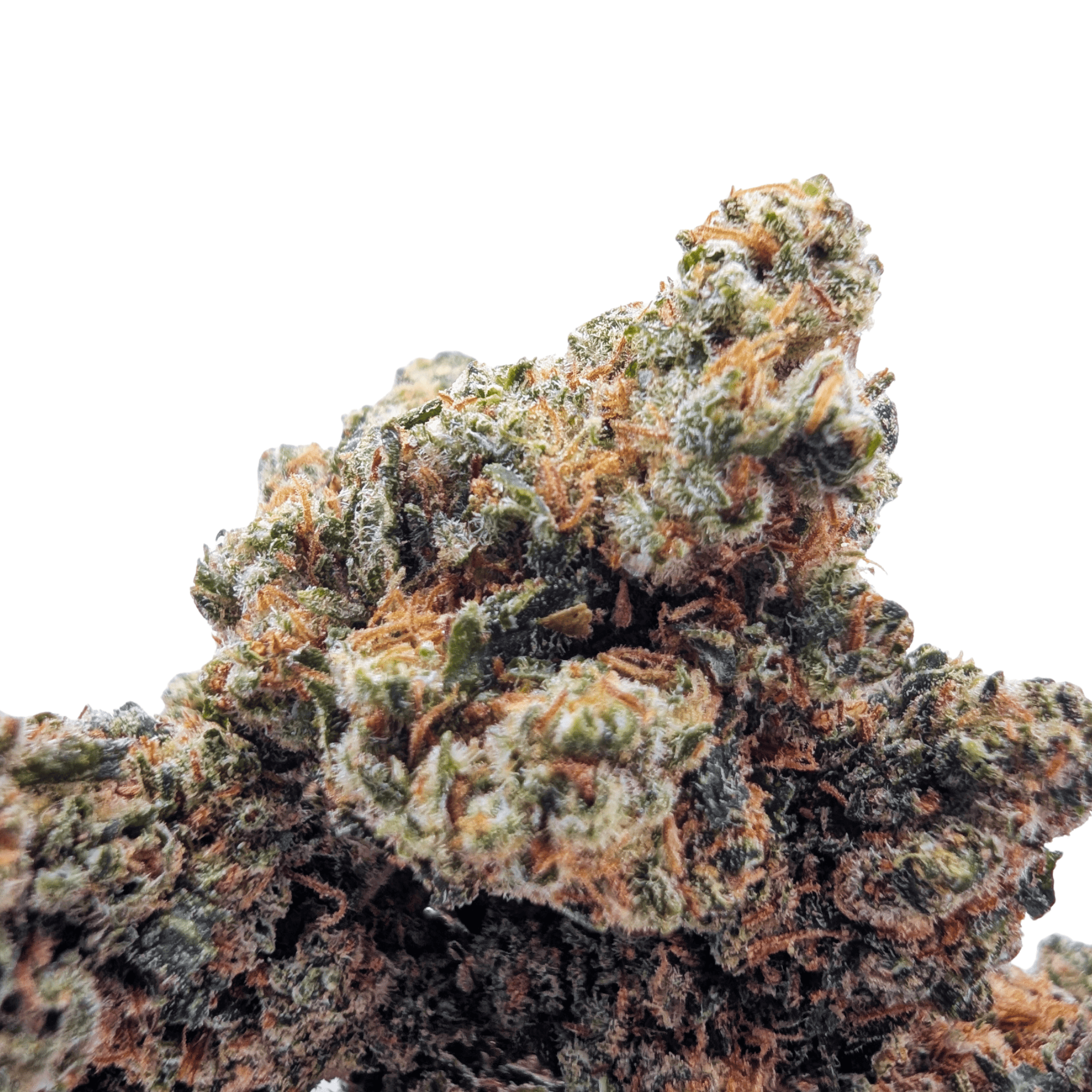 AMNESIA HYDRO NL-1 💎