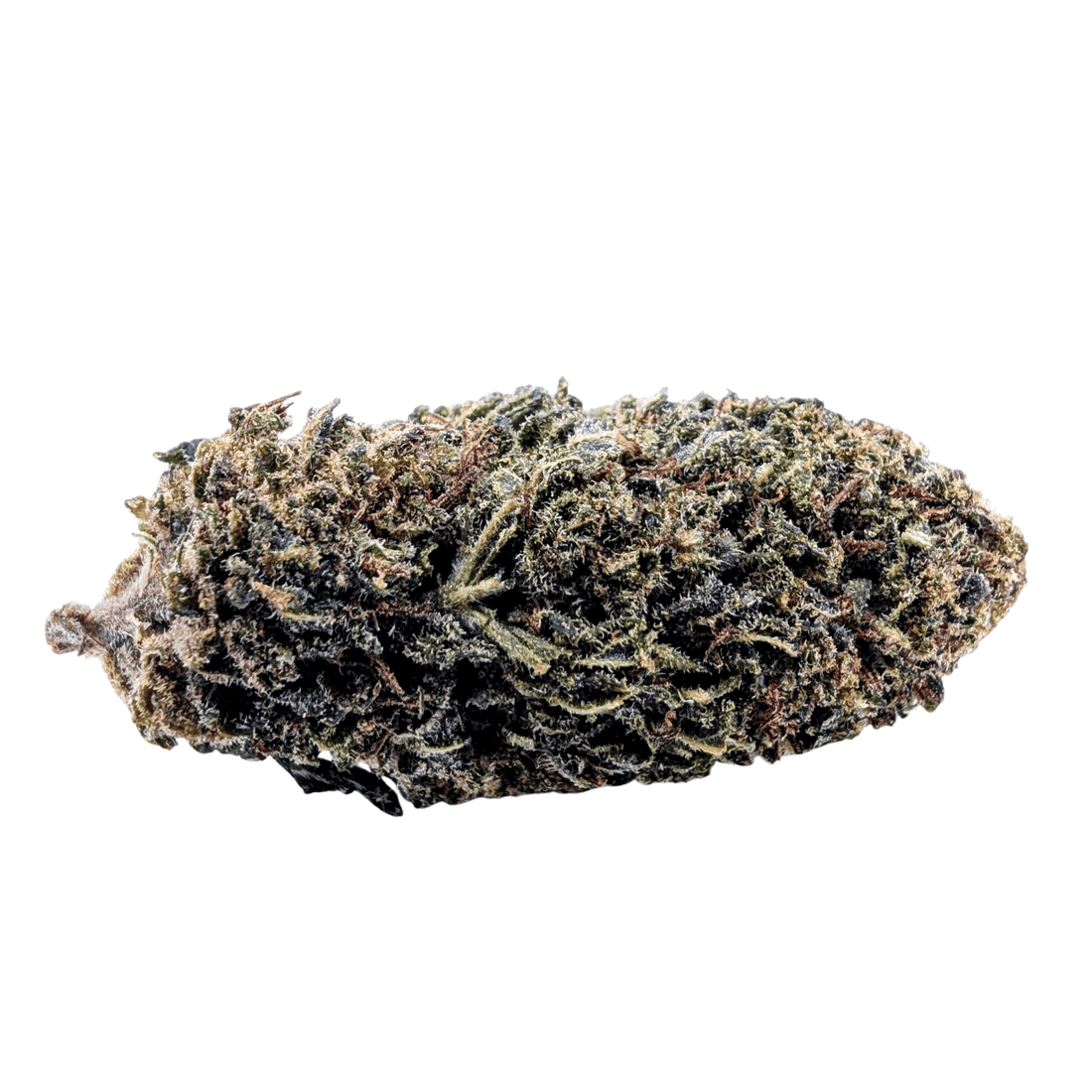 APPLE FRITTER NL-1 — 40% NL-1