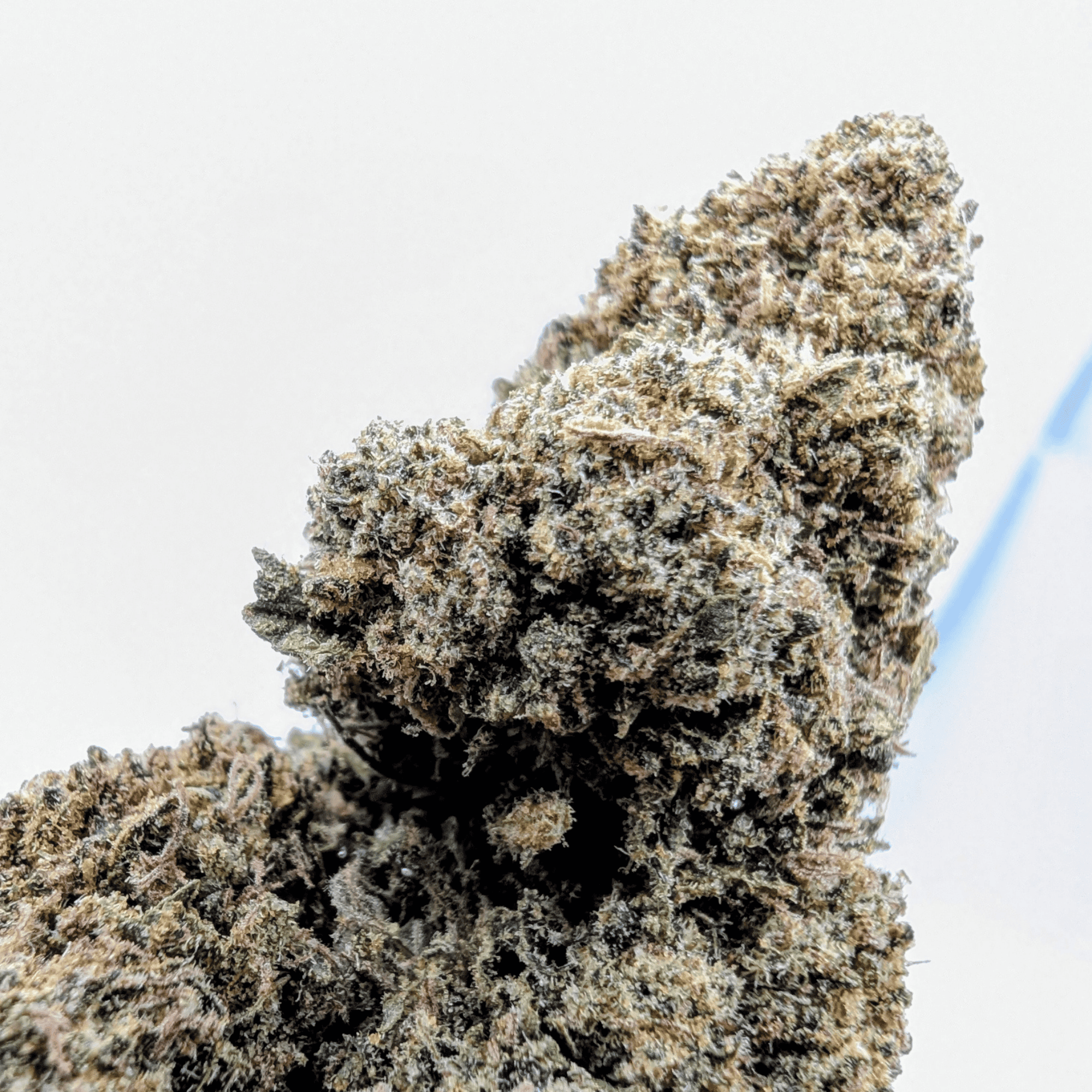 CANDY KUSH CBD - photo 2