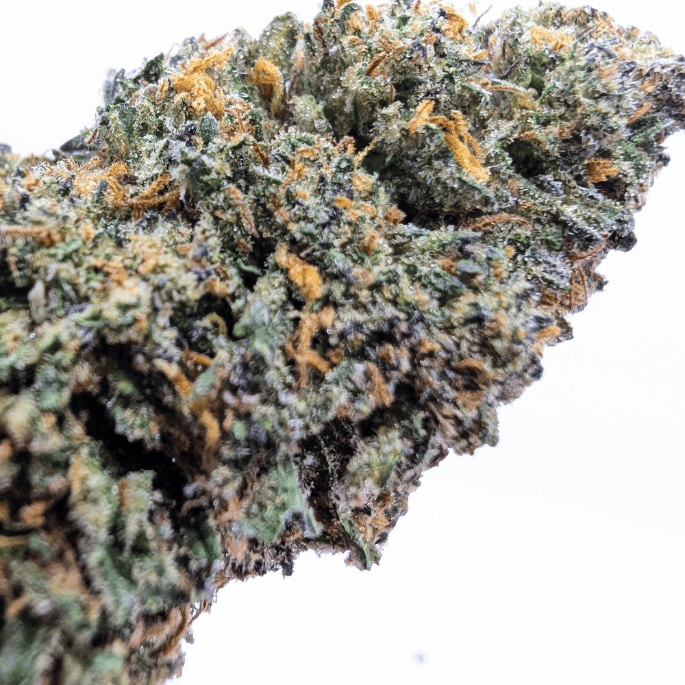 Fleur CBD CHEETAH PISS CBD 🐆 - vue macro, trichomes | Megadose
