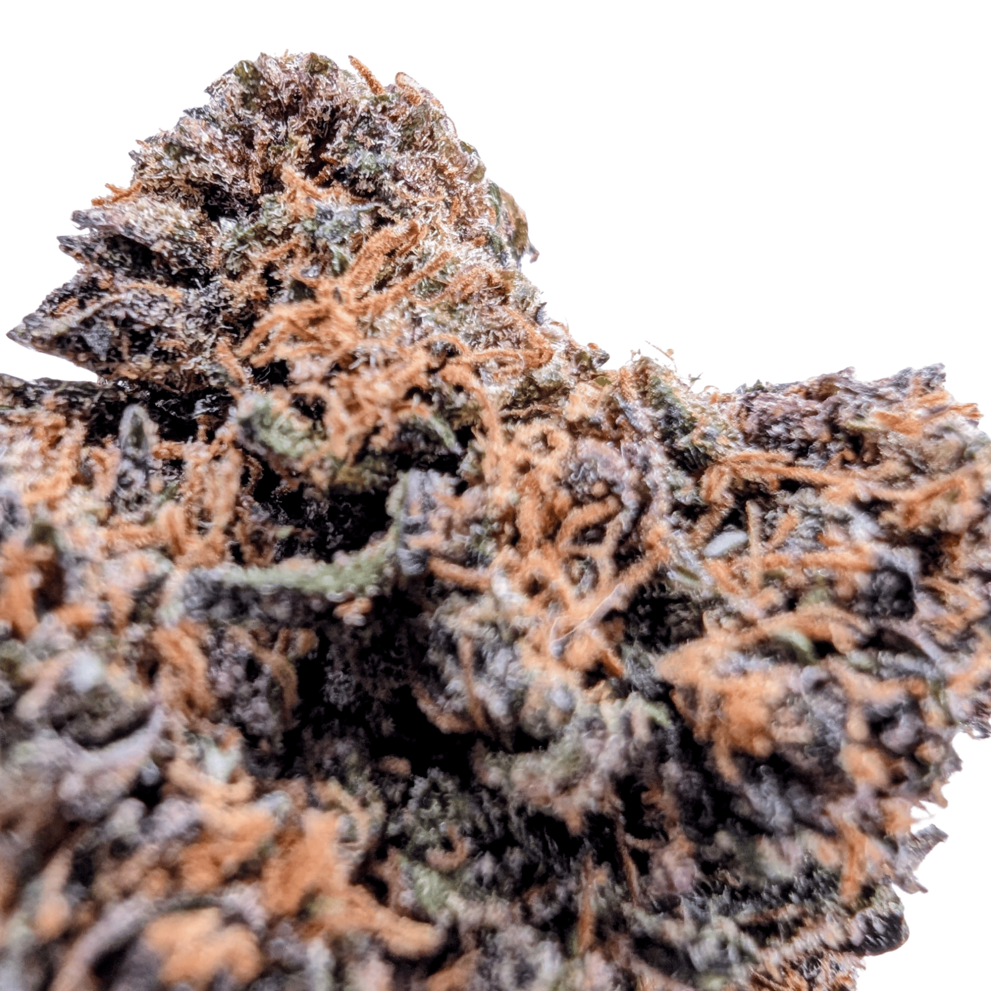 JELLY SAPHIR CBD 💠