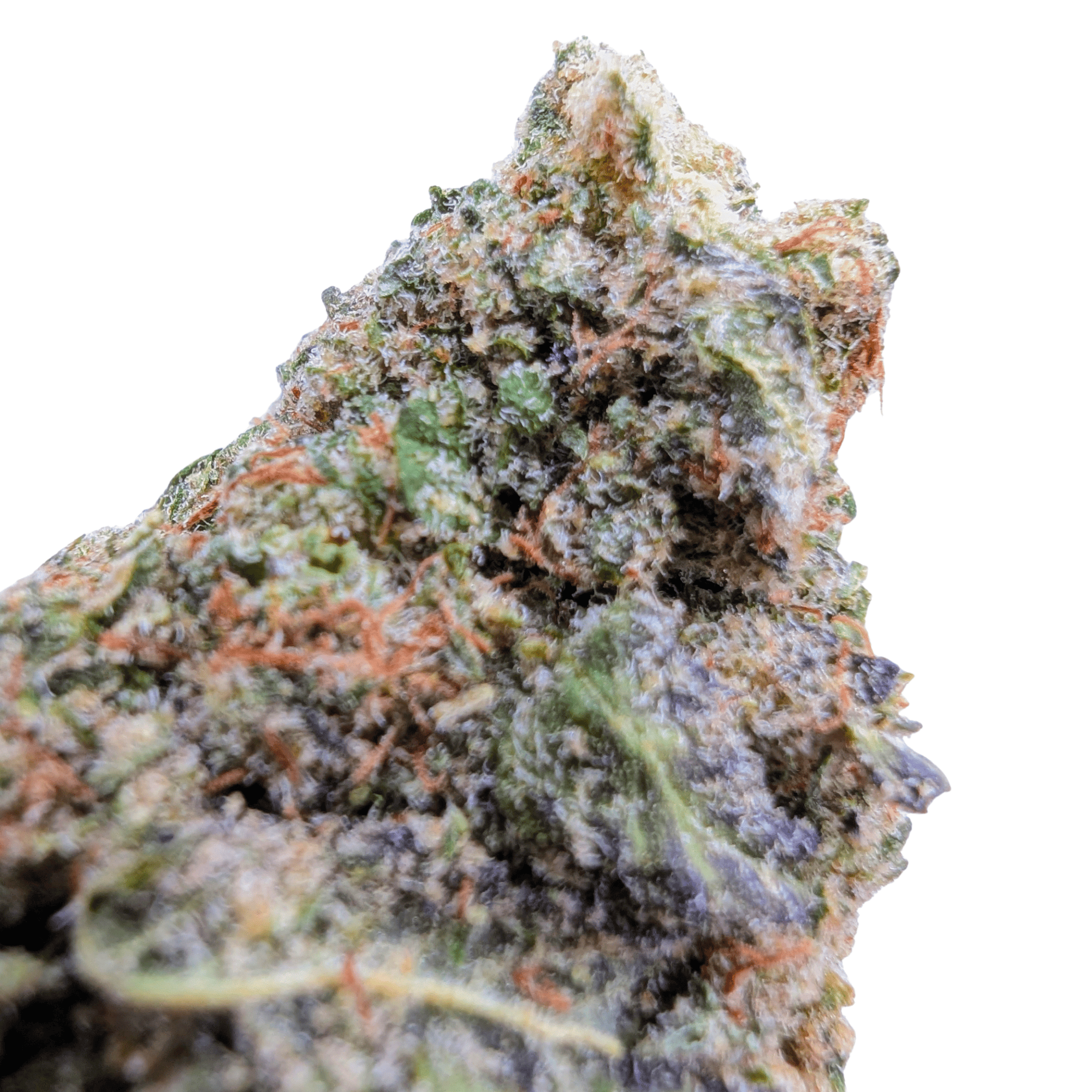 WHITE RUNTZ CBD 🦄