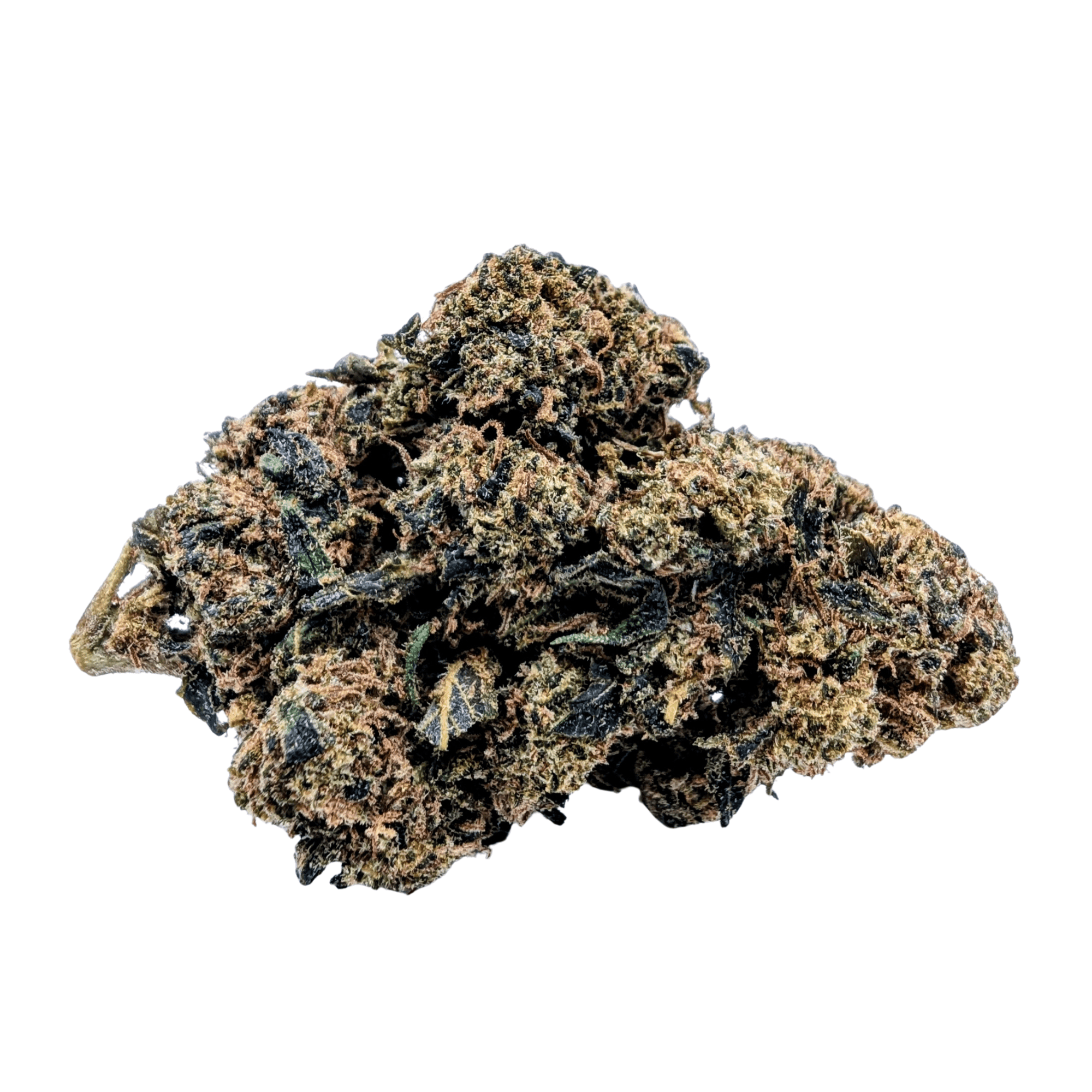 JACK HERER NL-1 🦖