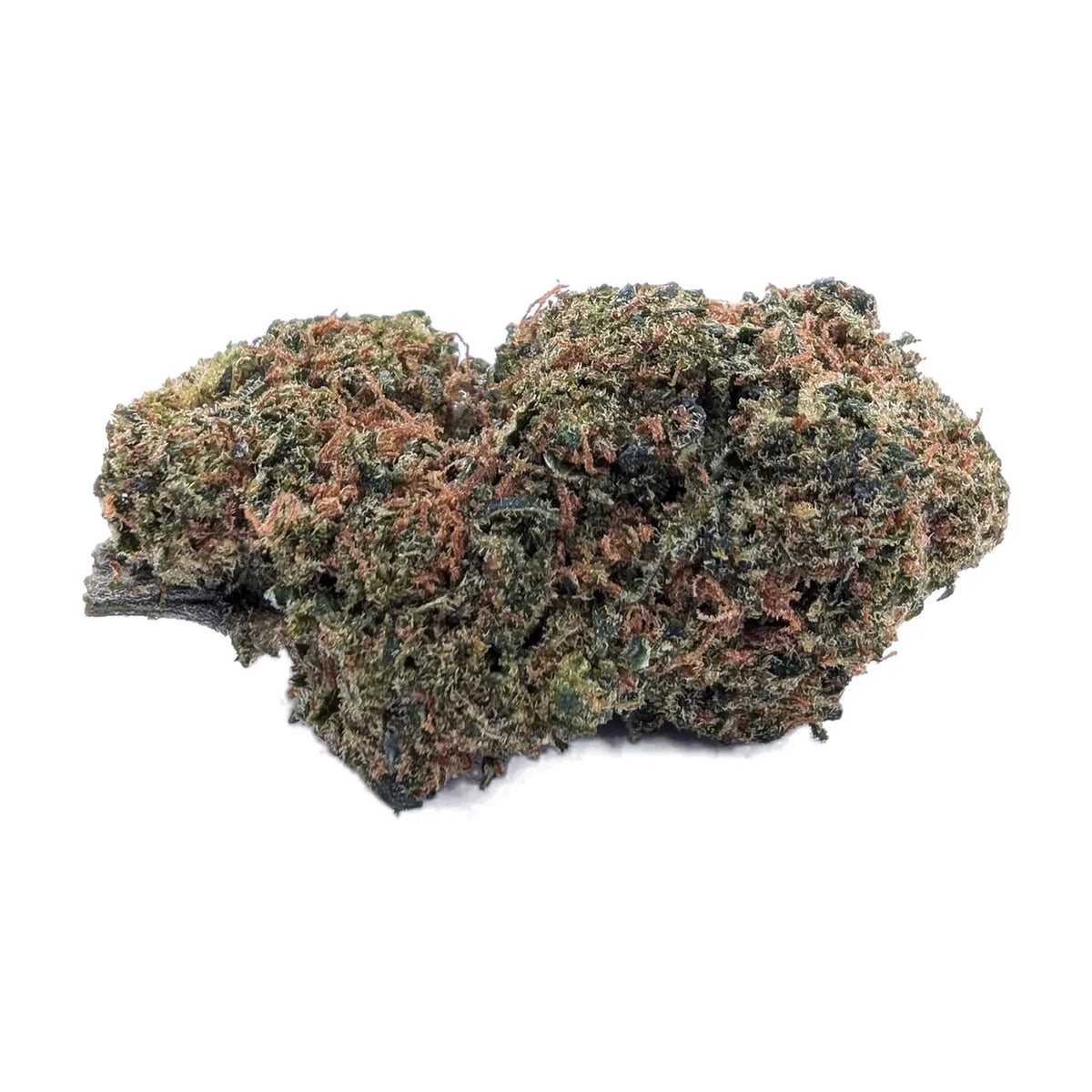 Pink Paradise NL-1 : fleur compacte aux nuances vertes et aux pistils rosés, photographiée sur fond blanc.