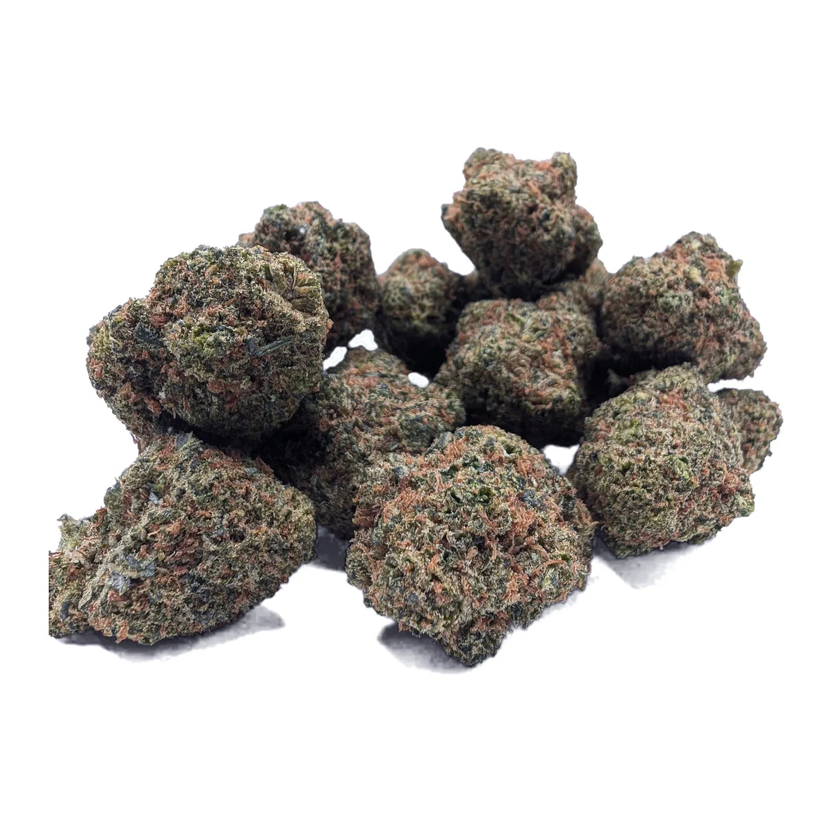 Plusieurs fleurs Pink Paradise NL-1 aux nuances vertes et rosées, présentées sur fond blanc.