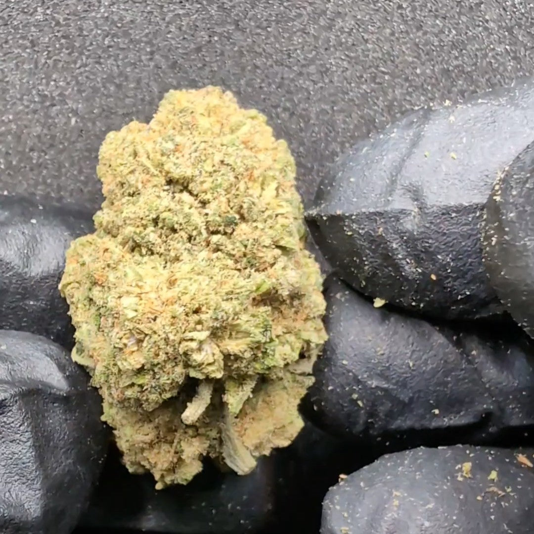 Fleur CBD Premium JACK HERER CALI de MEGADOSE, bourgeon dense aux arômes citronnés et boisés, qualité exceptionnelle non catégorisée.