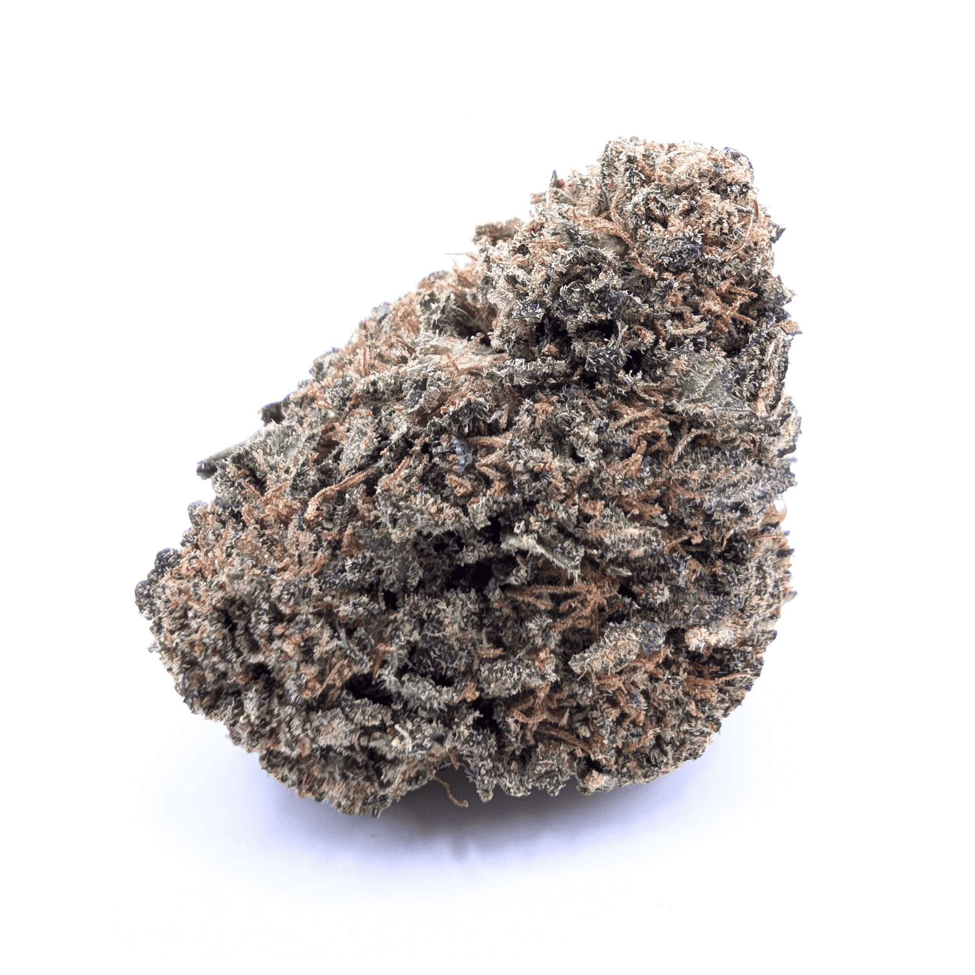 TROPICAL GHOST CBD 👻
