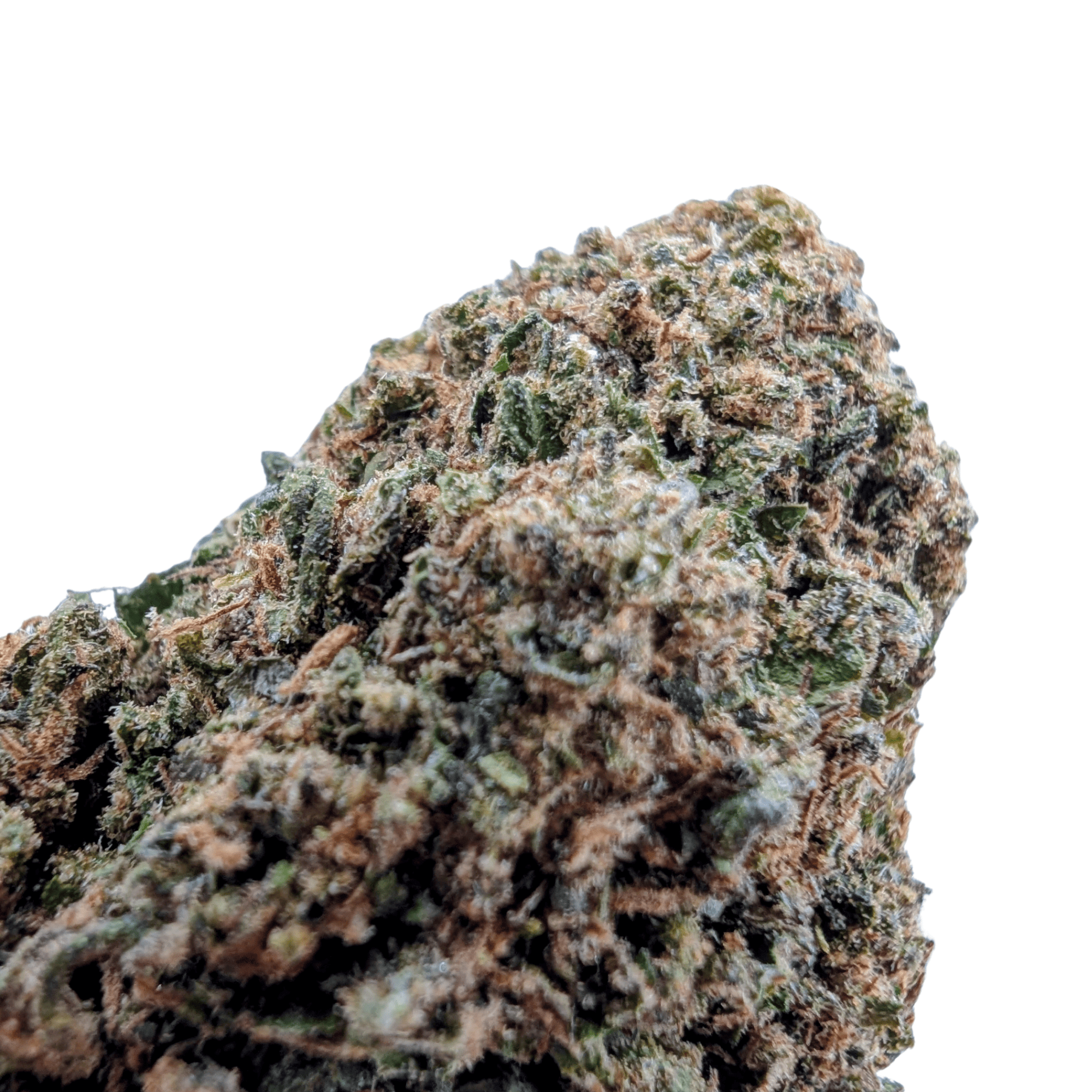TWIZLER CBD - photo 2