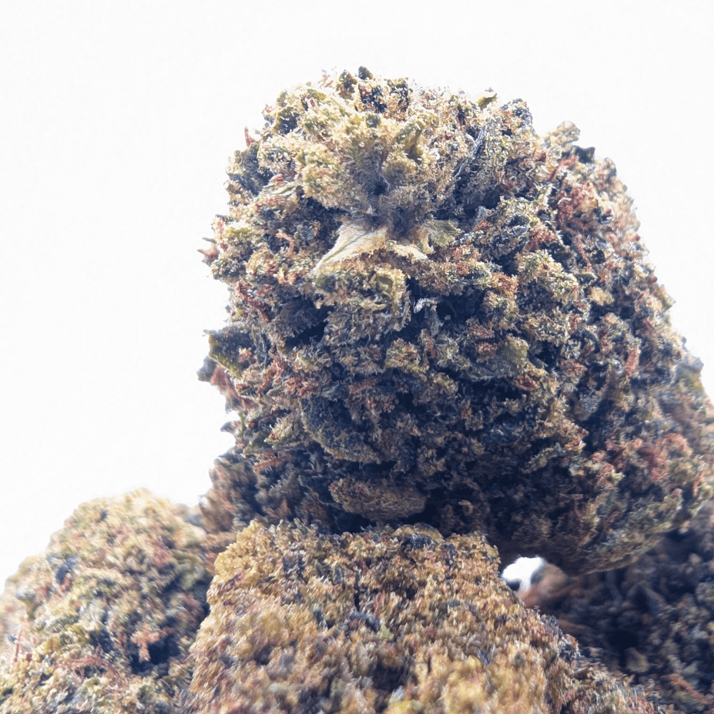 WHITE SHARK — 7% CBD