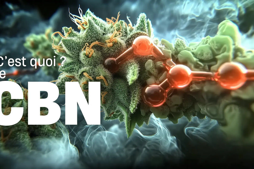 Miniature de l'article de blog : C'est quoi le cbn ? - Megadose