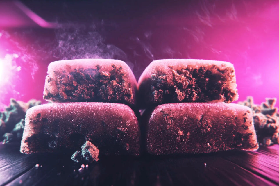 Comment-Choisir-le-Meilleur-Hash-CBD SUNDGOCBD