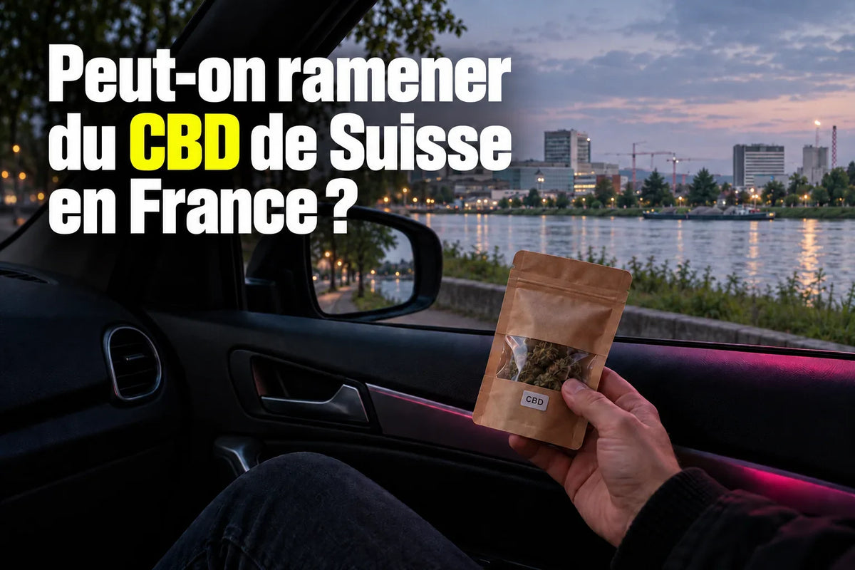 Passager tenant un sachet de CBD dans une voiture stationnée près du Rhin, illustration du transport de Suisse en France.