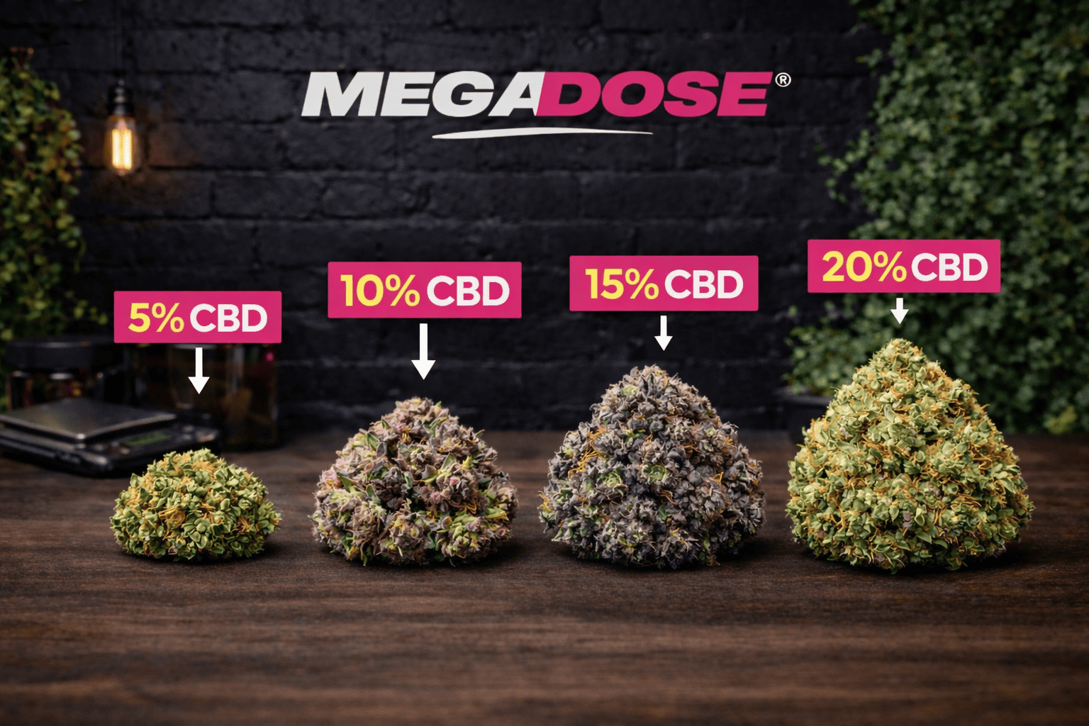 Quel pourcentage de CBD choisir pour une fleur ?