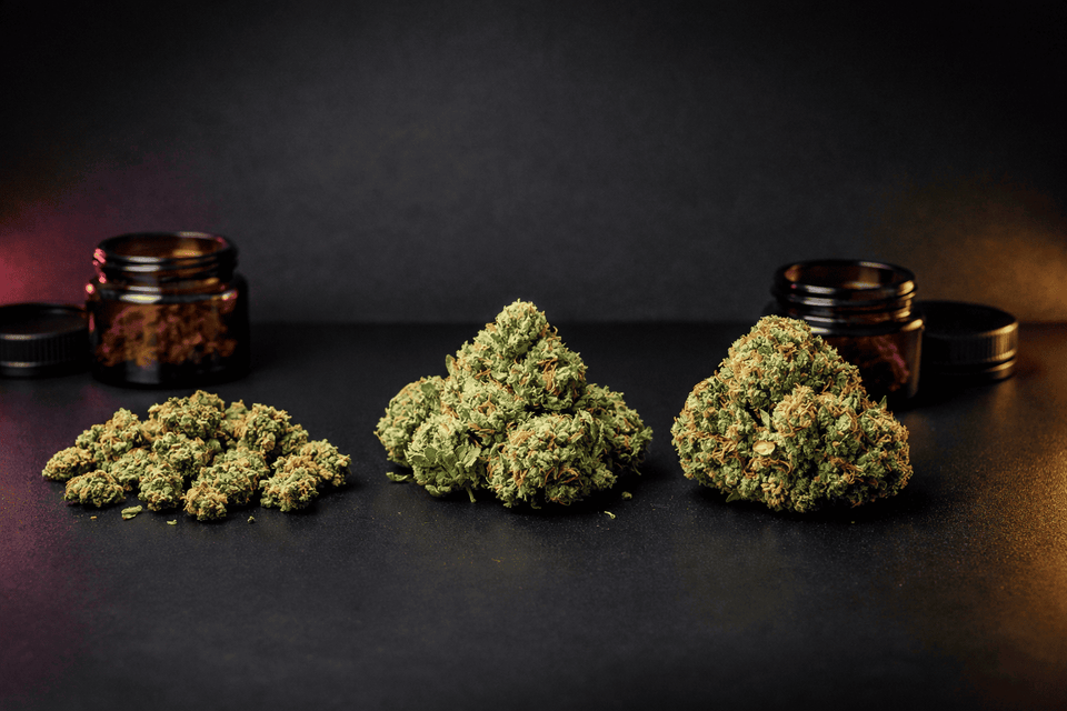 Comparatif de fleurs CBD montrant différentes qualités : small buds, fleur greenhouse et grosse tête premium sur fond noir avec pots en verre