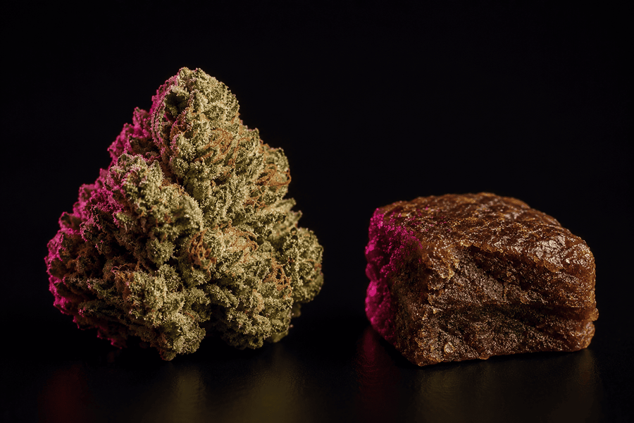 Comparaison entre une fleur NL-1 et une résine NL-1 sur fond sombre