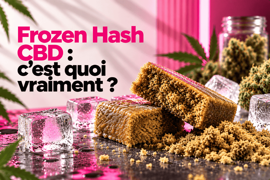 Frozen Hash CBD avec résine de chanvre, glace et tamisage à froid