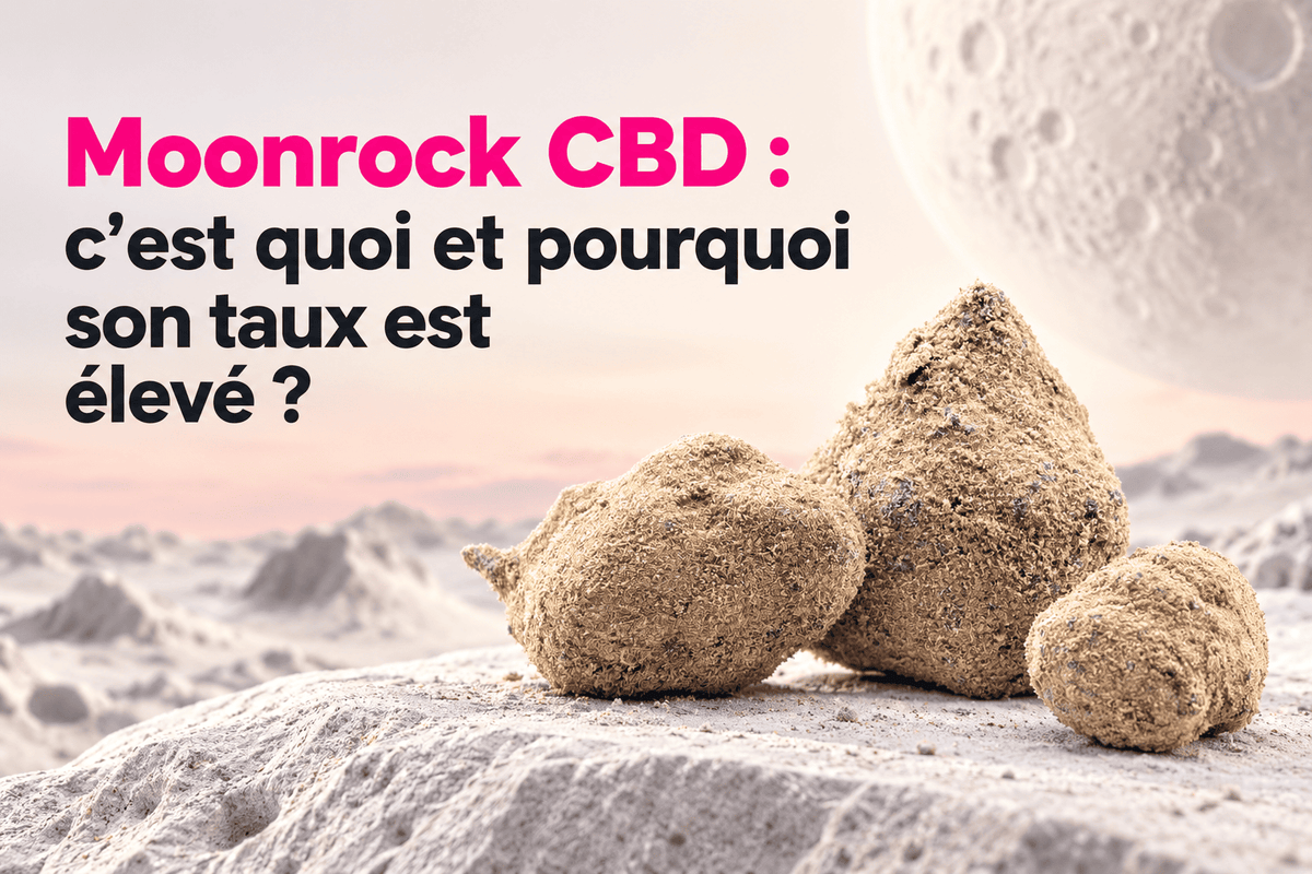 Moonrock CBD sur un décor lunaire – comprendre ce que c’est et pourquoi son taux de CBD est élevé