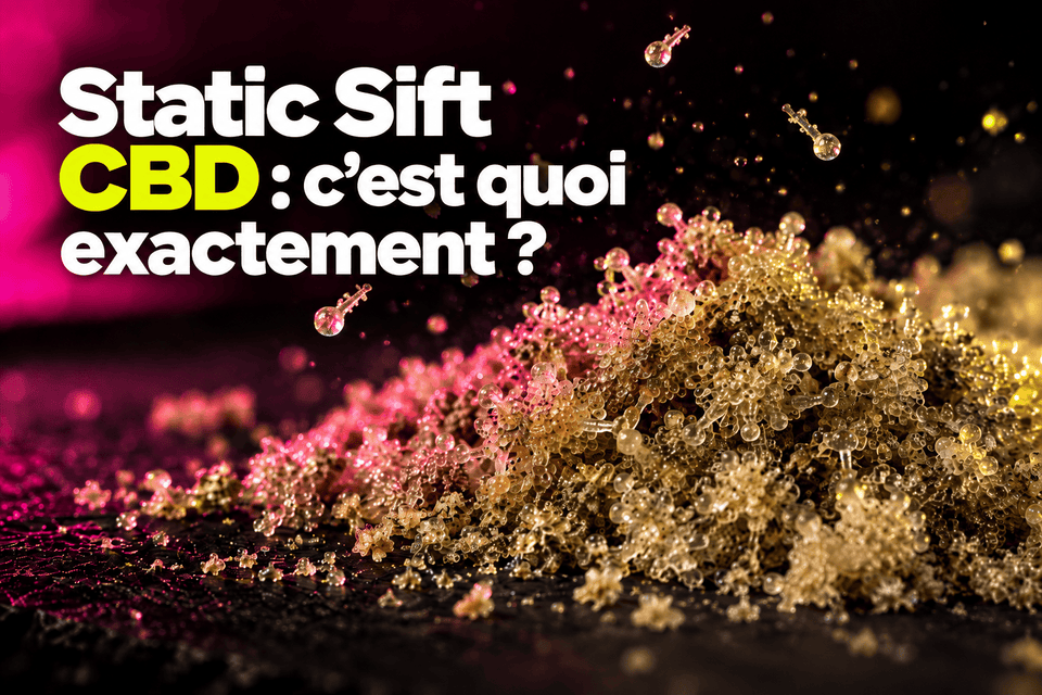 Résine CBD Static Sift et trichomes en gros plan sur fond noir