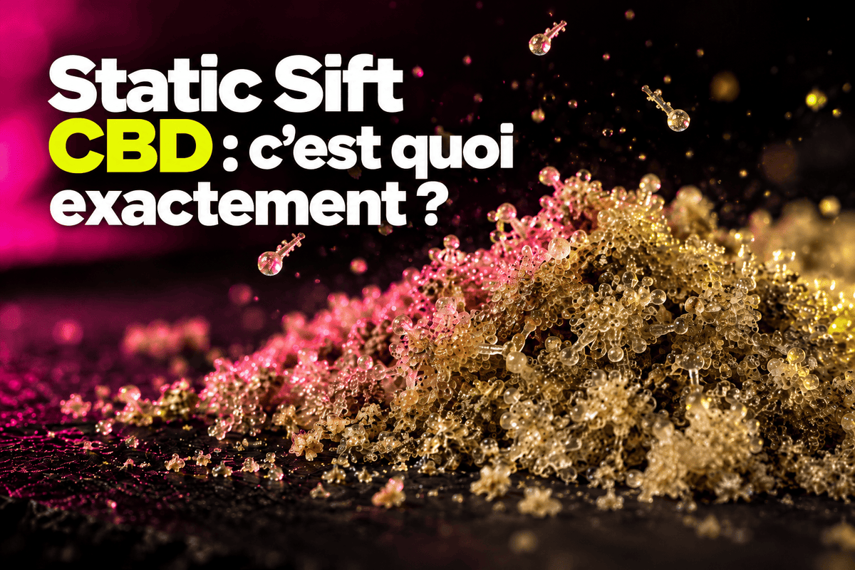Static Sift CBD : c'est quoi exactement ?