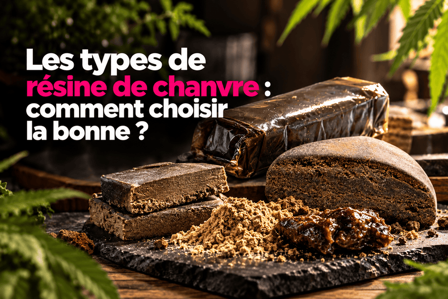 Différents types de résine CBD et de chanvre : Static, Piatella et hash pressé