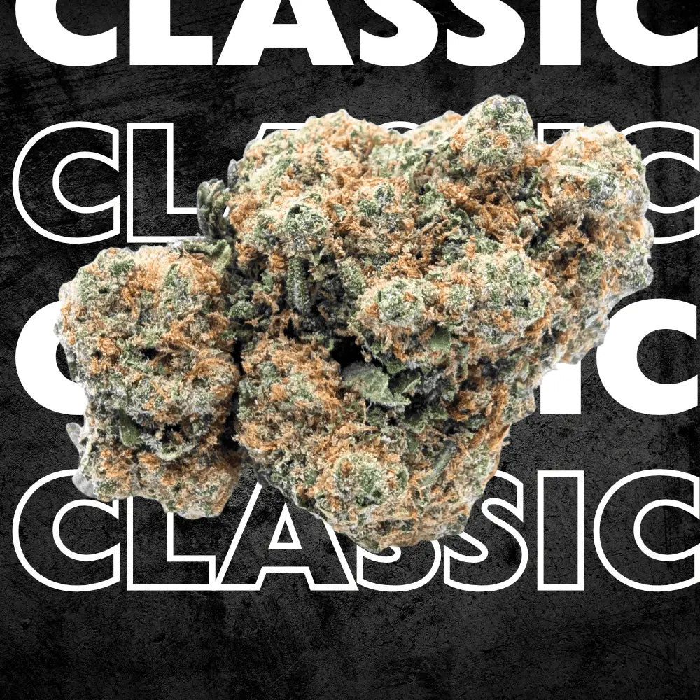 AMNESIA Super Strain⭐ Megadose