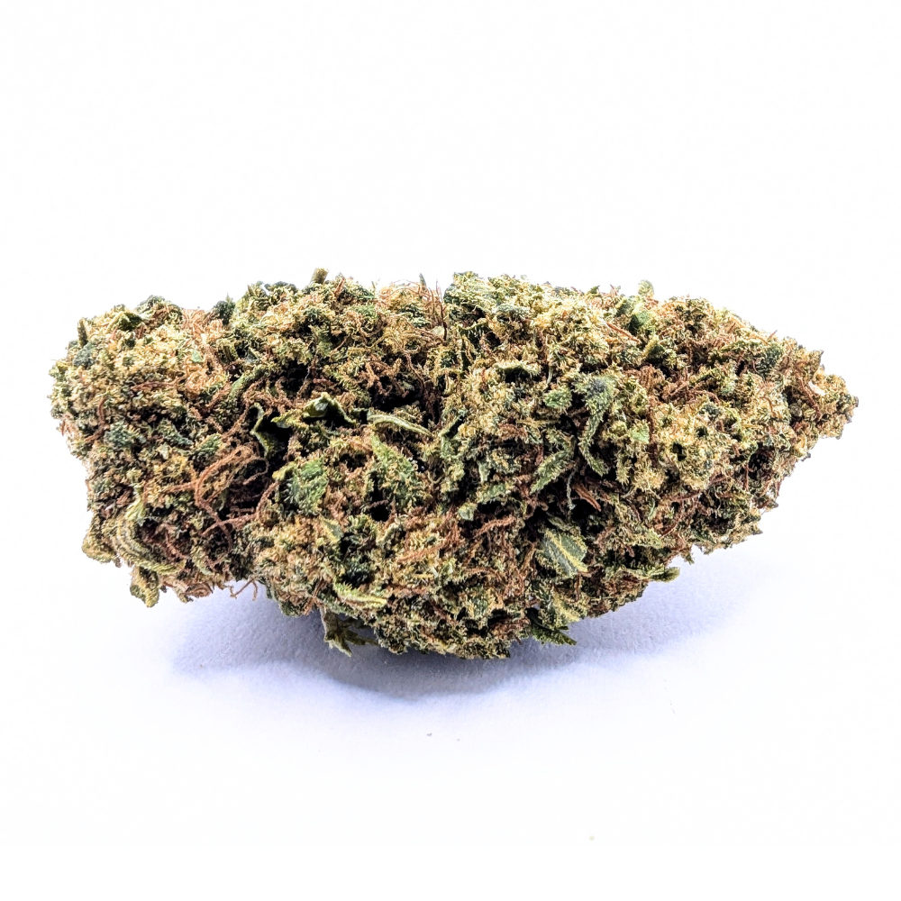 AMNESIA 🧠