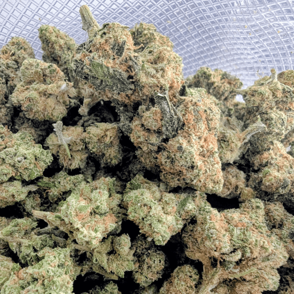 AMNESIA HYDRO NL-1 💎