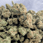 Fleur CBD AMNESIA HYDRO NL-1 💎 - packshot | Megadose