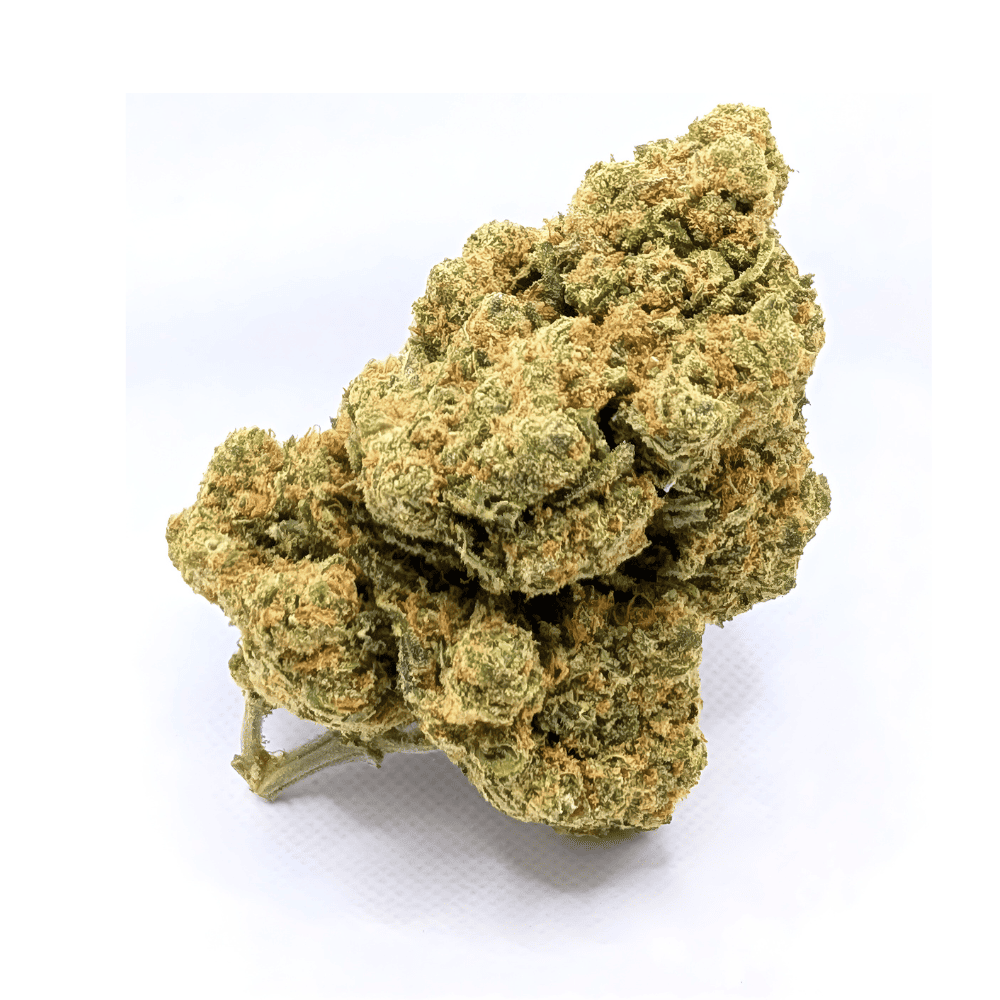 AMNESIA Super Strain⭐